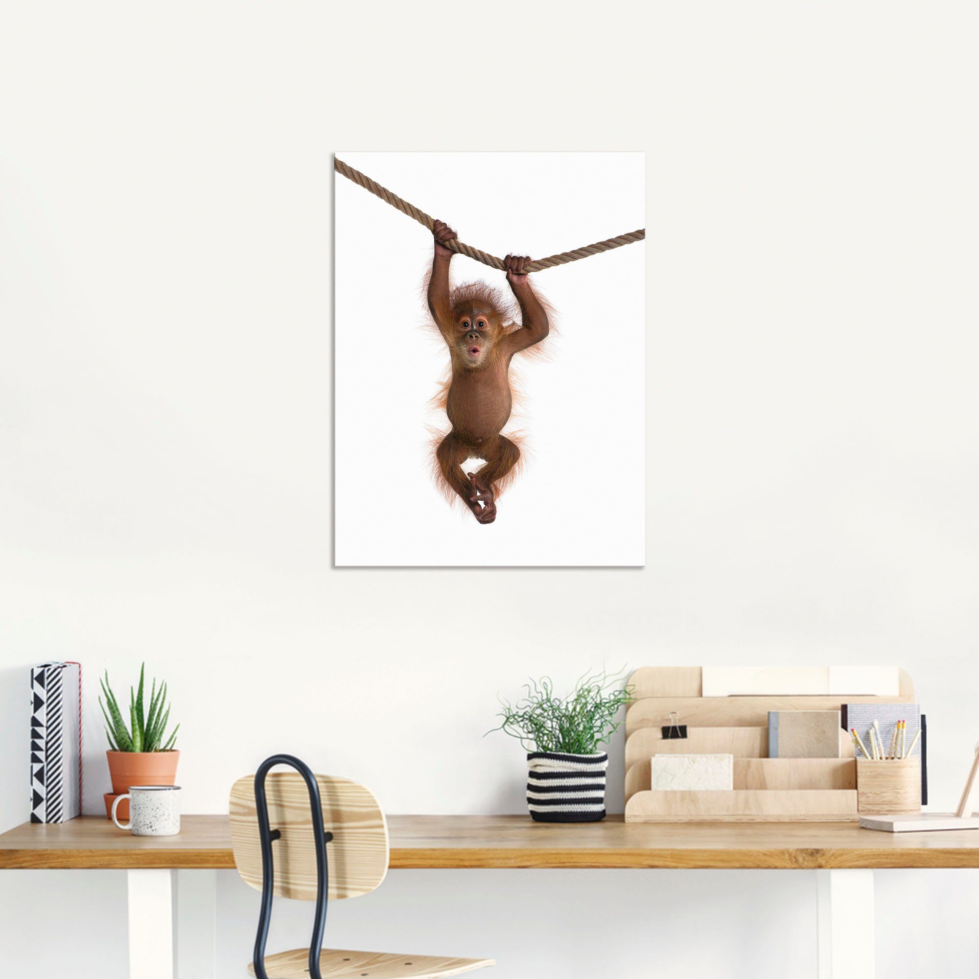 Artland Artprint Baby orang oetan hangt aan het touw II als artprint van aluminium, artprint voor buiten, artprint op linnen, poster, muursticker