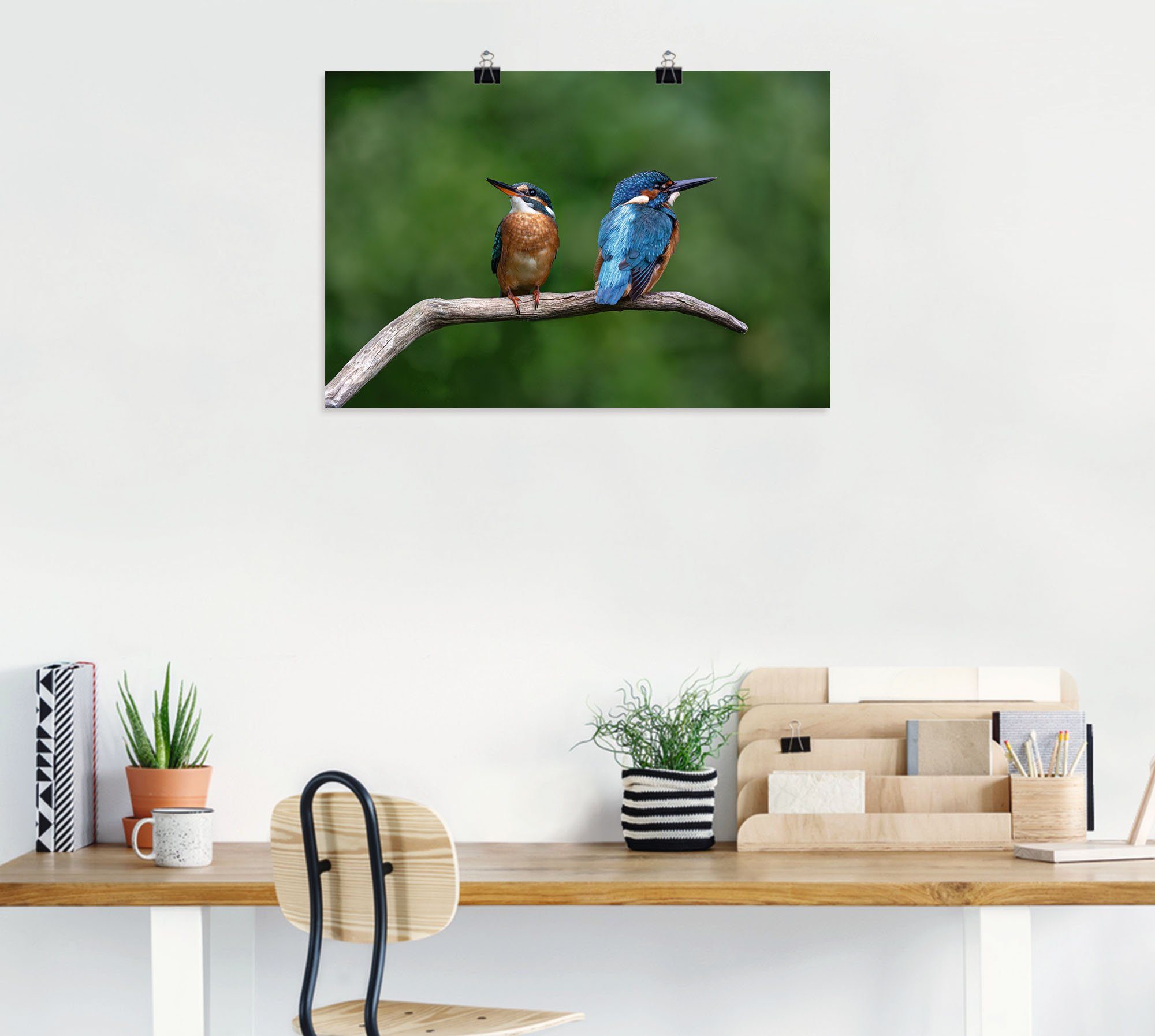 Artland Artprint Twee ijsvogels als artprint van aluminium, artprint voor buiten, poster in diverse formaten