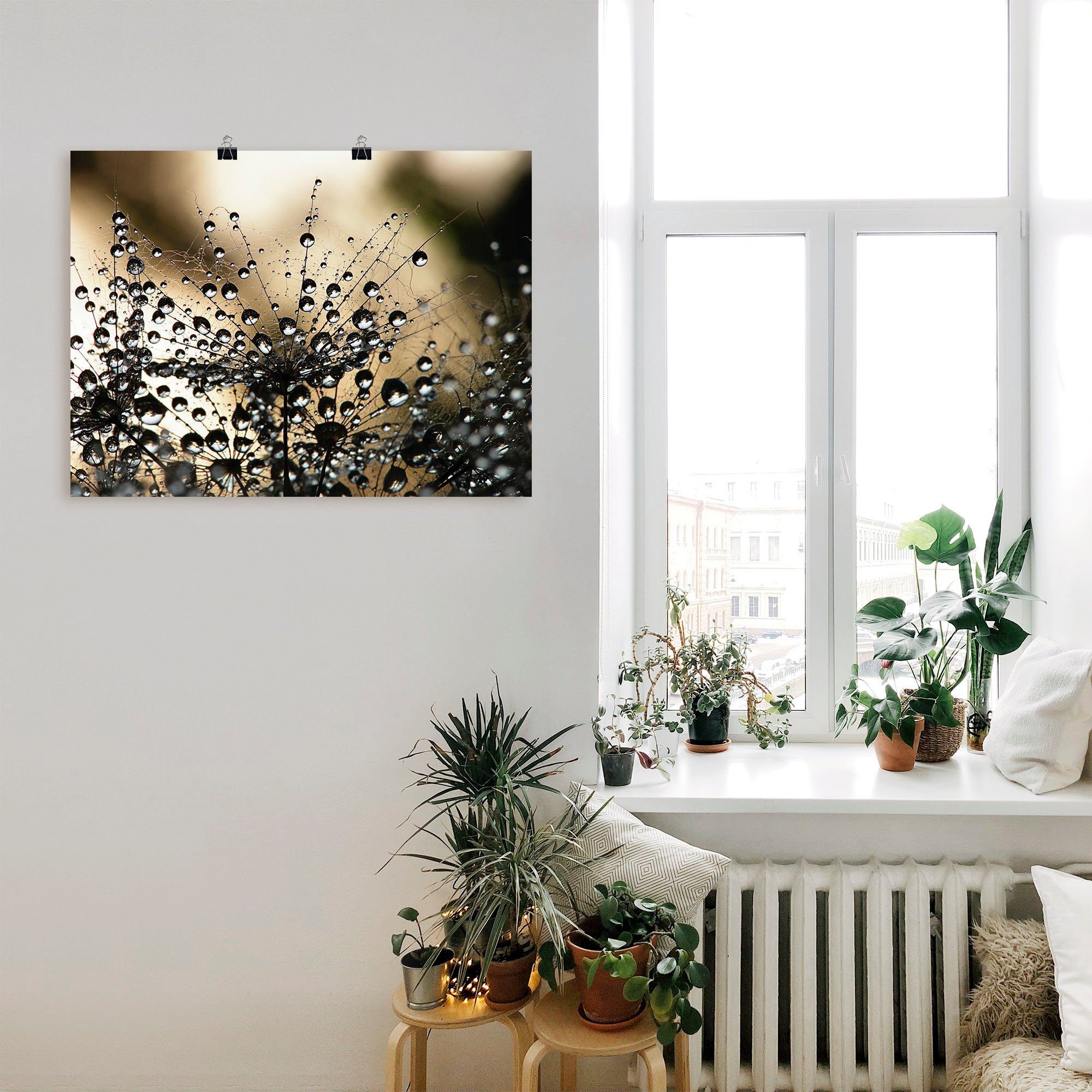 Artland Artprint Natte paardenbloem als artprint van aluminium, artprint voor buiten, artprint op linnen, poster, muursticker