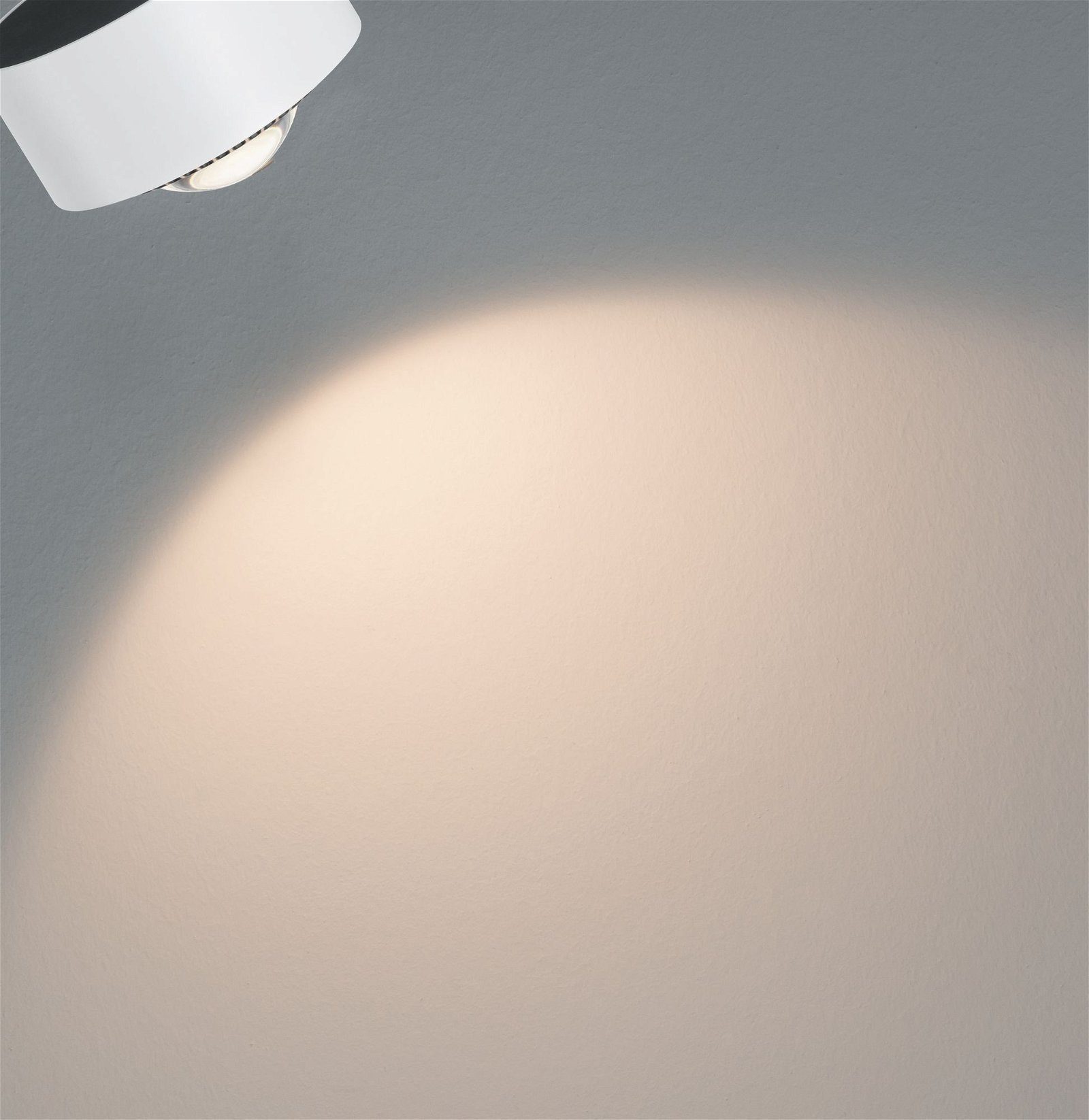Paulmann Railsysteem-lampen URail rail spot Aldan Enkelspot 498lm 8W 2700K 230V Wit, Zwart