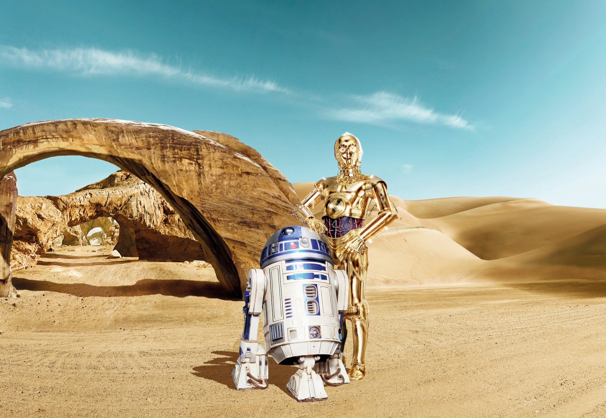 Komar Fotobehang STAR WARS Lost Droids - Afmeting 368 x 254 cm (set)