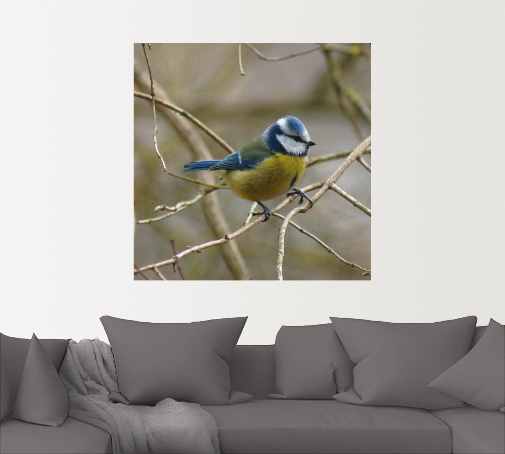 Artland Artprint Pimpelmees als artprint op linnen, muursticker in verschillende maten