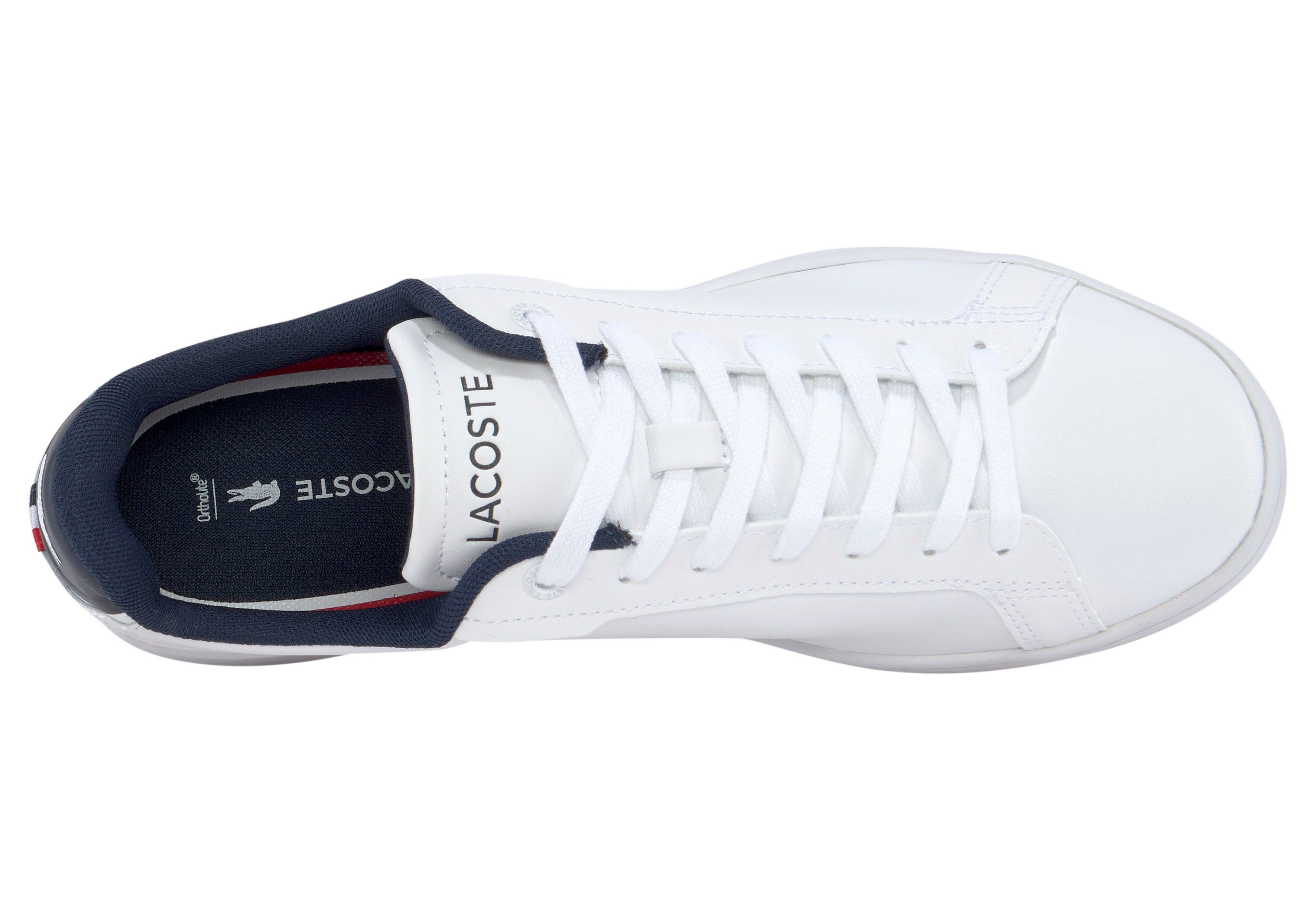 Lacoste Sneakers CARNABY PRO TRI 123 1 SMA