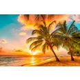 papermoon fotobehang barbados palm beach vlies, 5 banen, 250 x 180 cm (5 stuks) multicolor