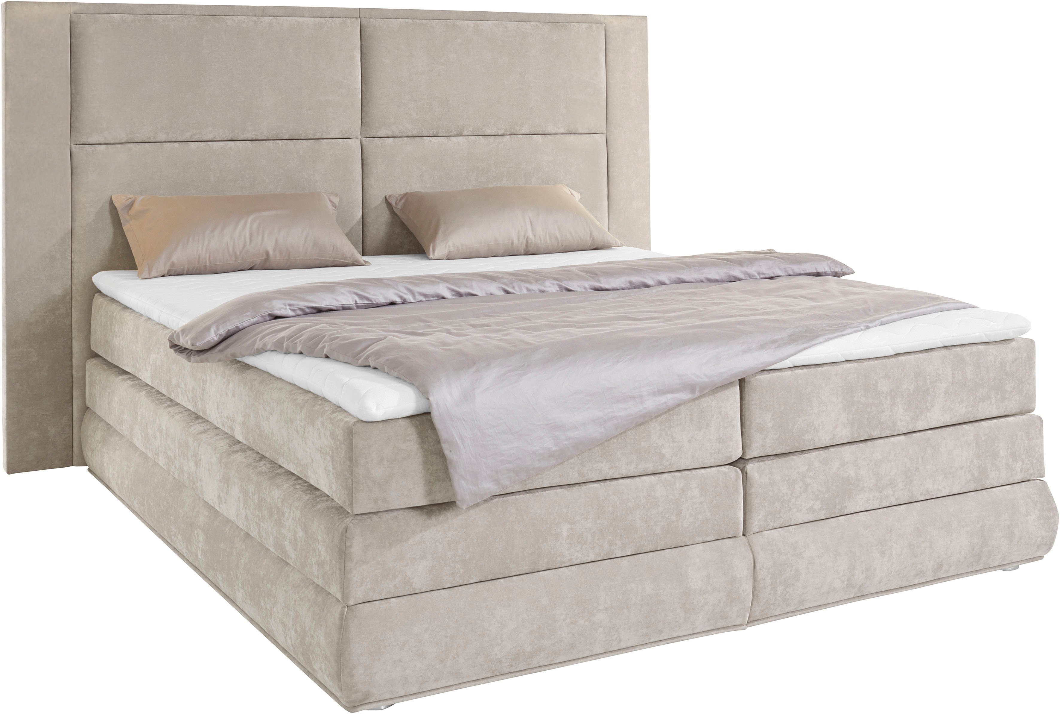 COLLECTION AB Boxspring Copenhagen inclusief bedkist, topmatras, naar keuze met ledverlichting
