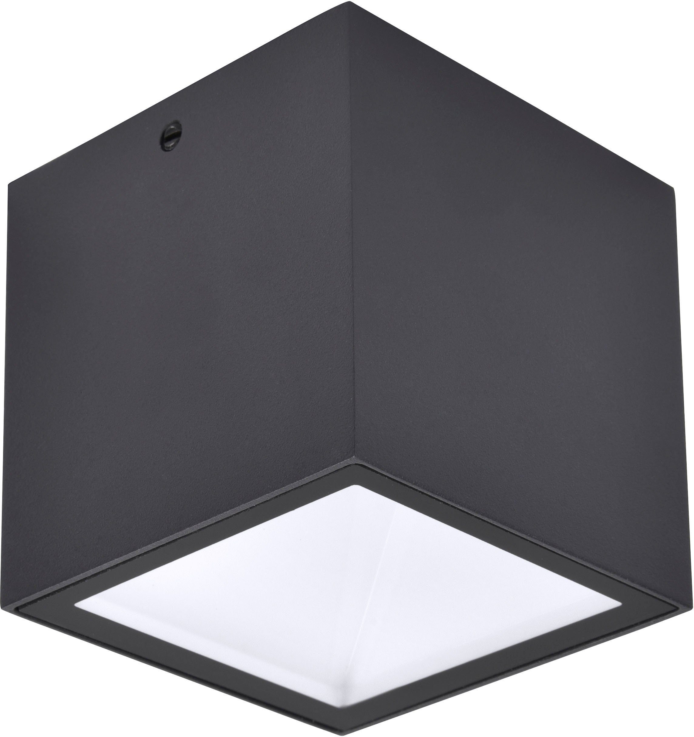 LUTEC Led-wandlamp voor buiten Gemini (1 stuk)