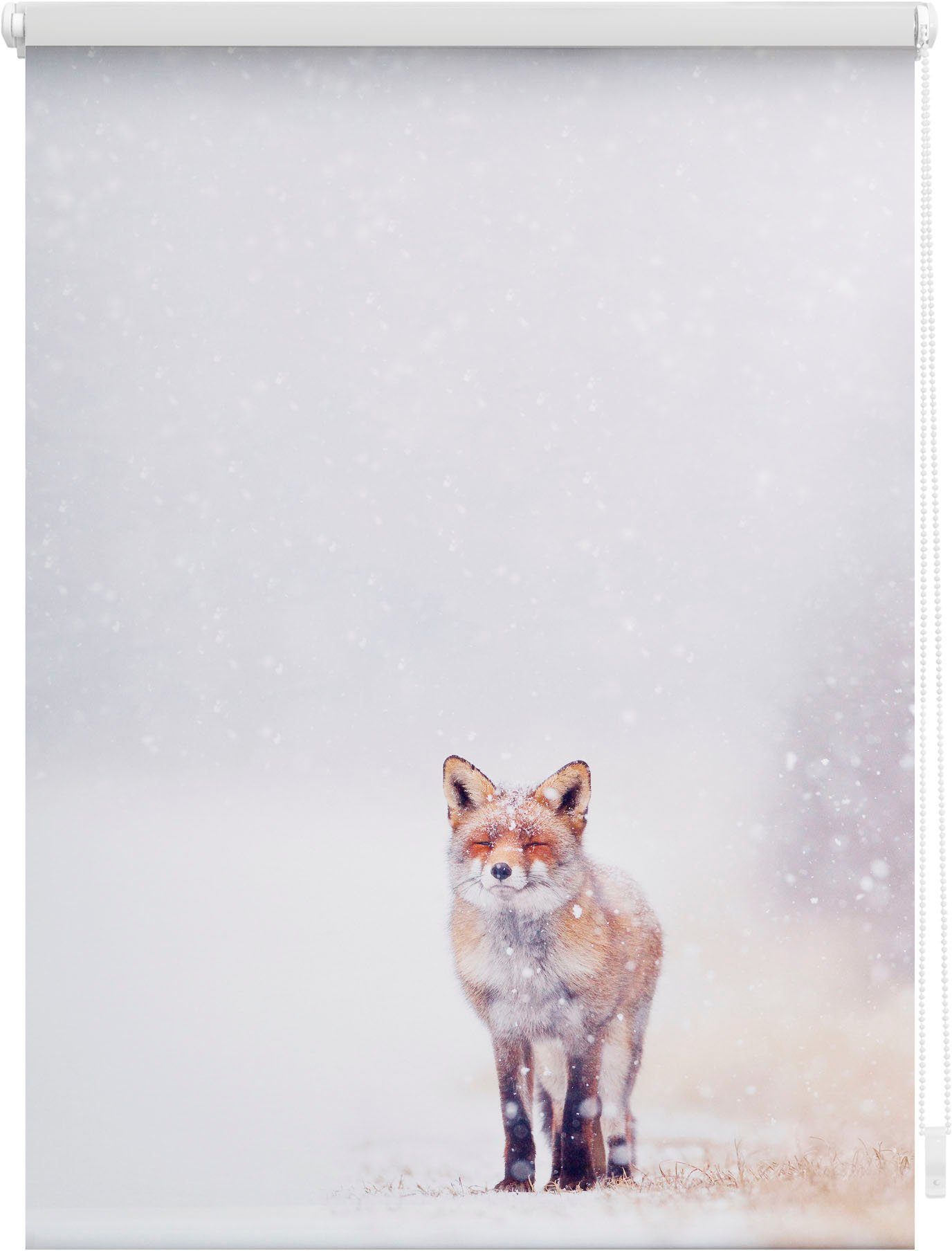 Rolgordijn, zijbediening, »Klemmfix decor vos in sneeuw«, lichtwering, standaardmaat, zonder boren