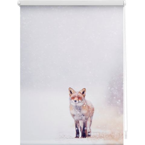 Rolgordijn, zijbediening, »Klemmfix decor vos in sneeuw«, lichtwering, standaardmaat, zonder boren