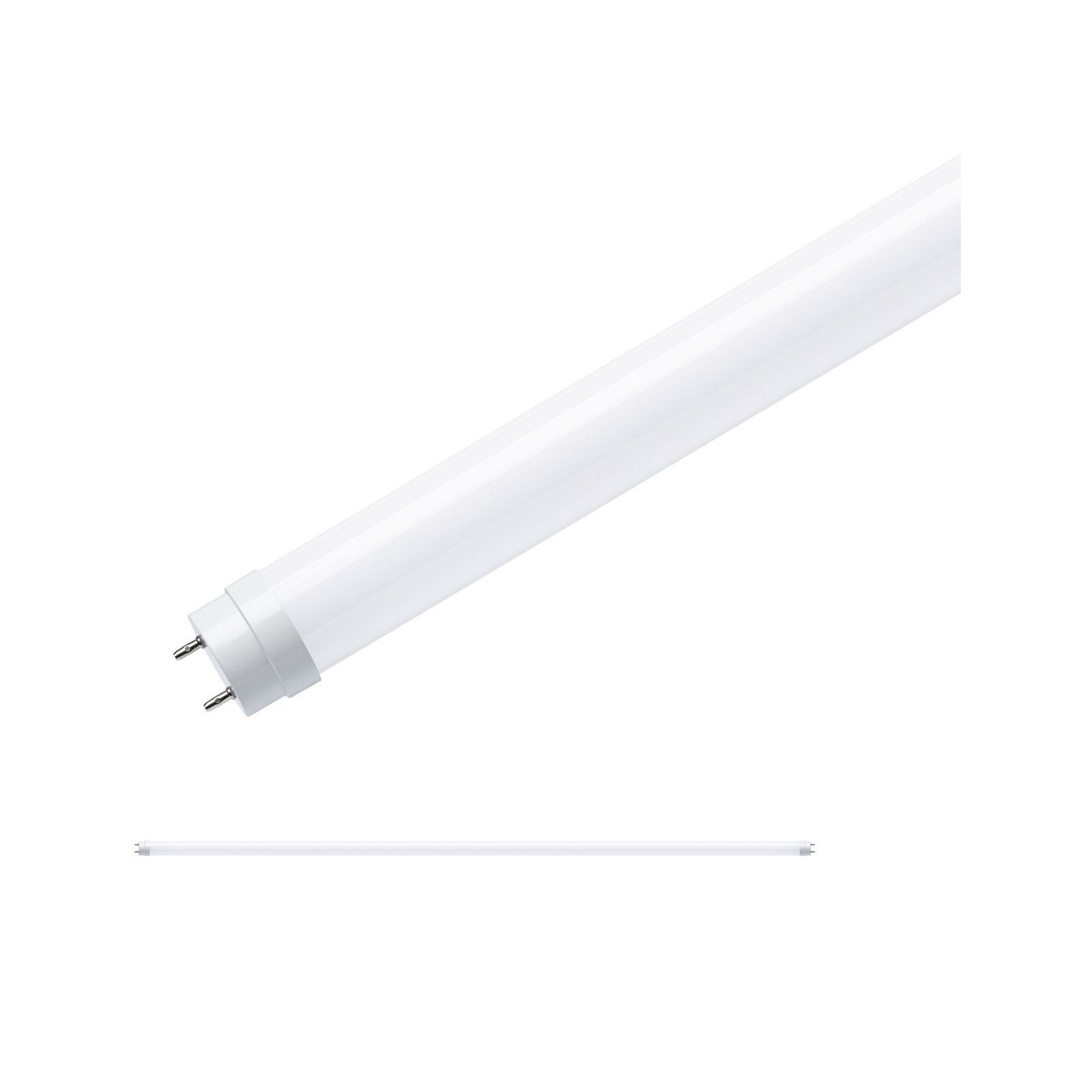 Paulmann Led-verlichting Buis G13 2300lm 22W 6500K opaal 230V (1 stuk)
