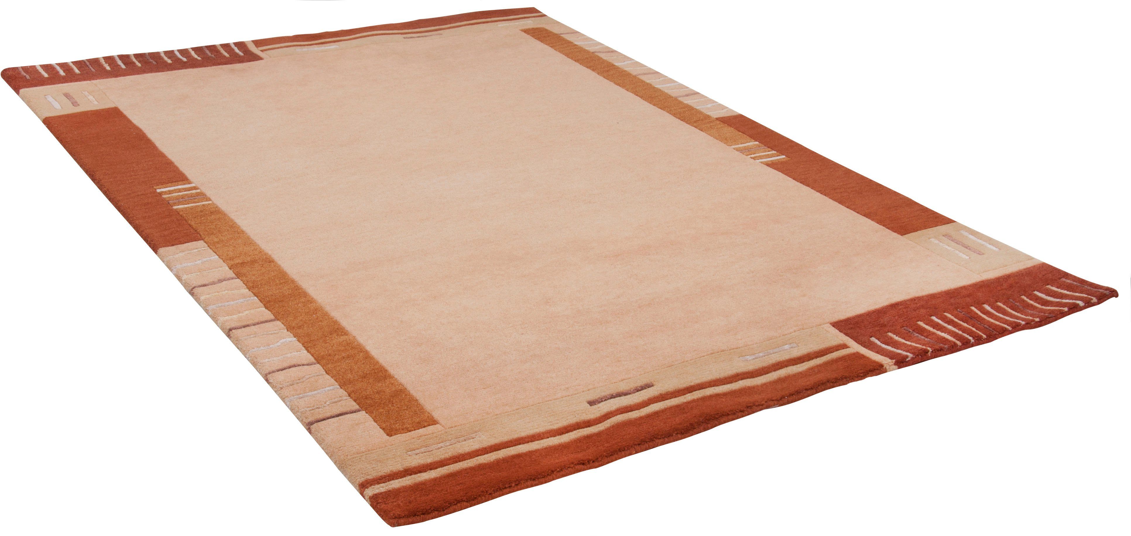 THEKO Wollen kleed Kailash 110 zuivere wol, met de hand geknoopt, met randdessin wollen vloerkleden maat 250x300 cm bruin