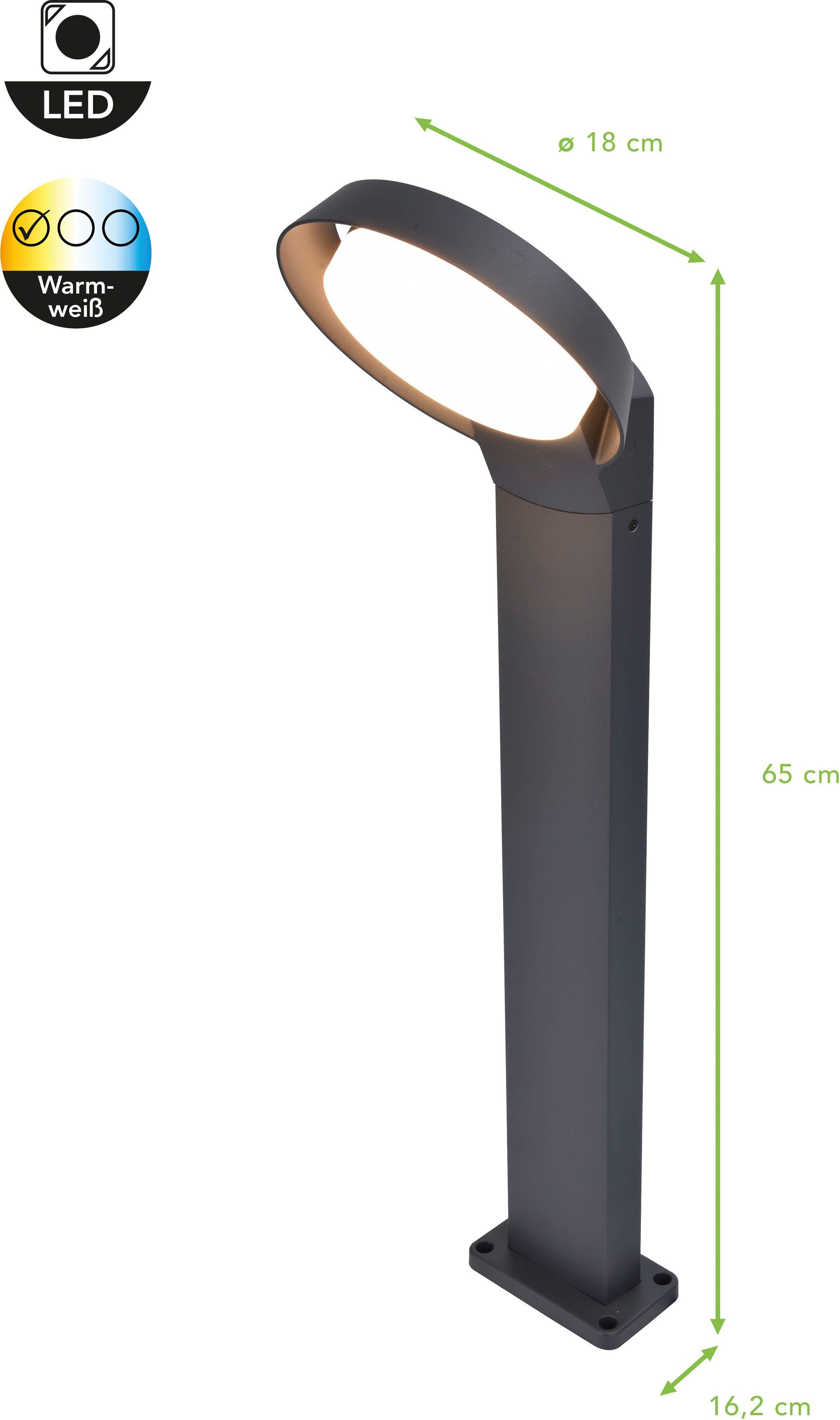 LUTEC Ledwandlamp voor buiten Polo (1 stuk)