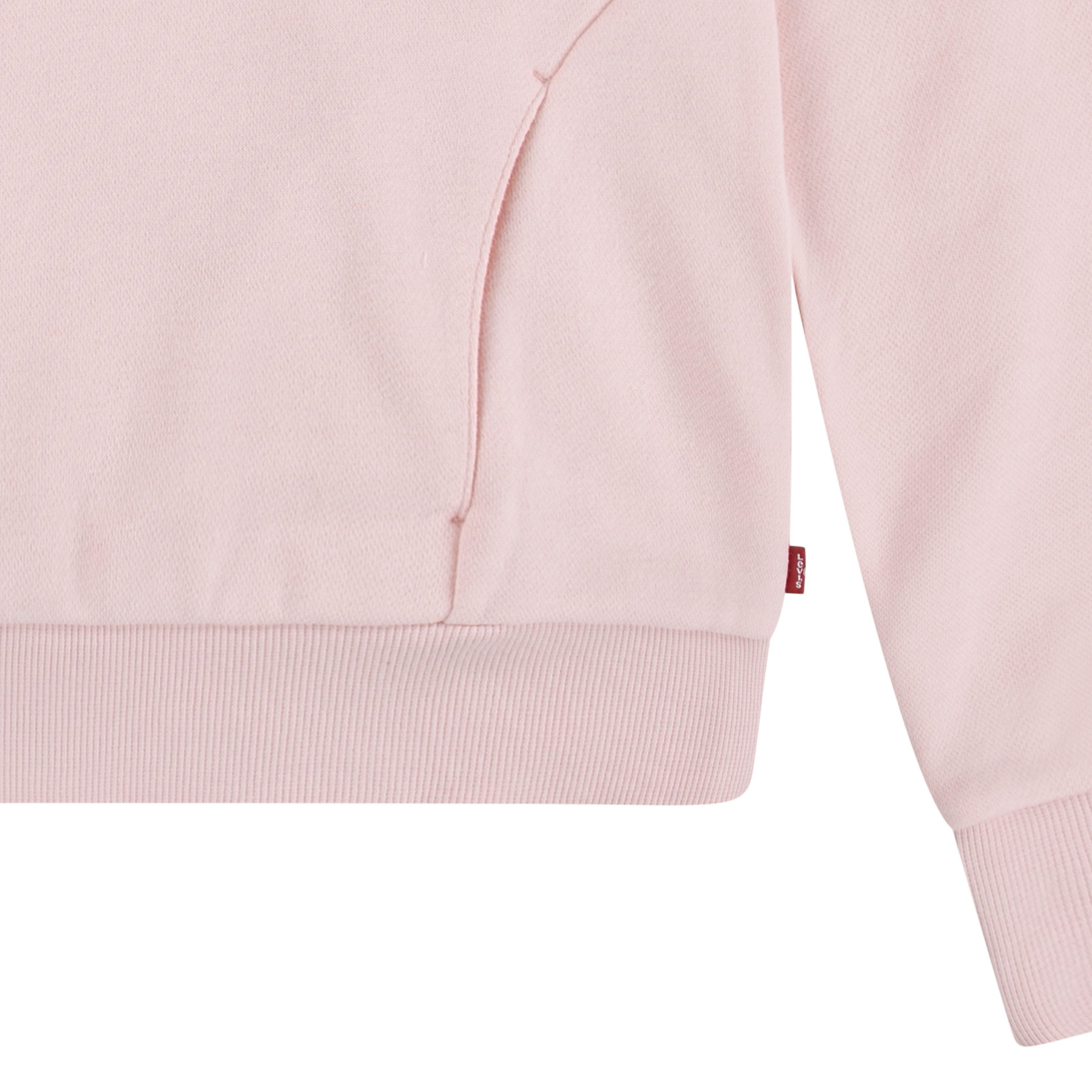 Levi's Kidswear Hoodie LVG SEASONAL HOODIE