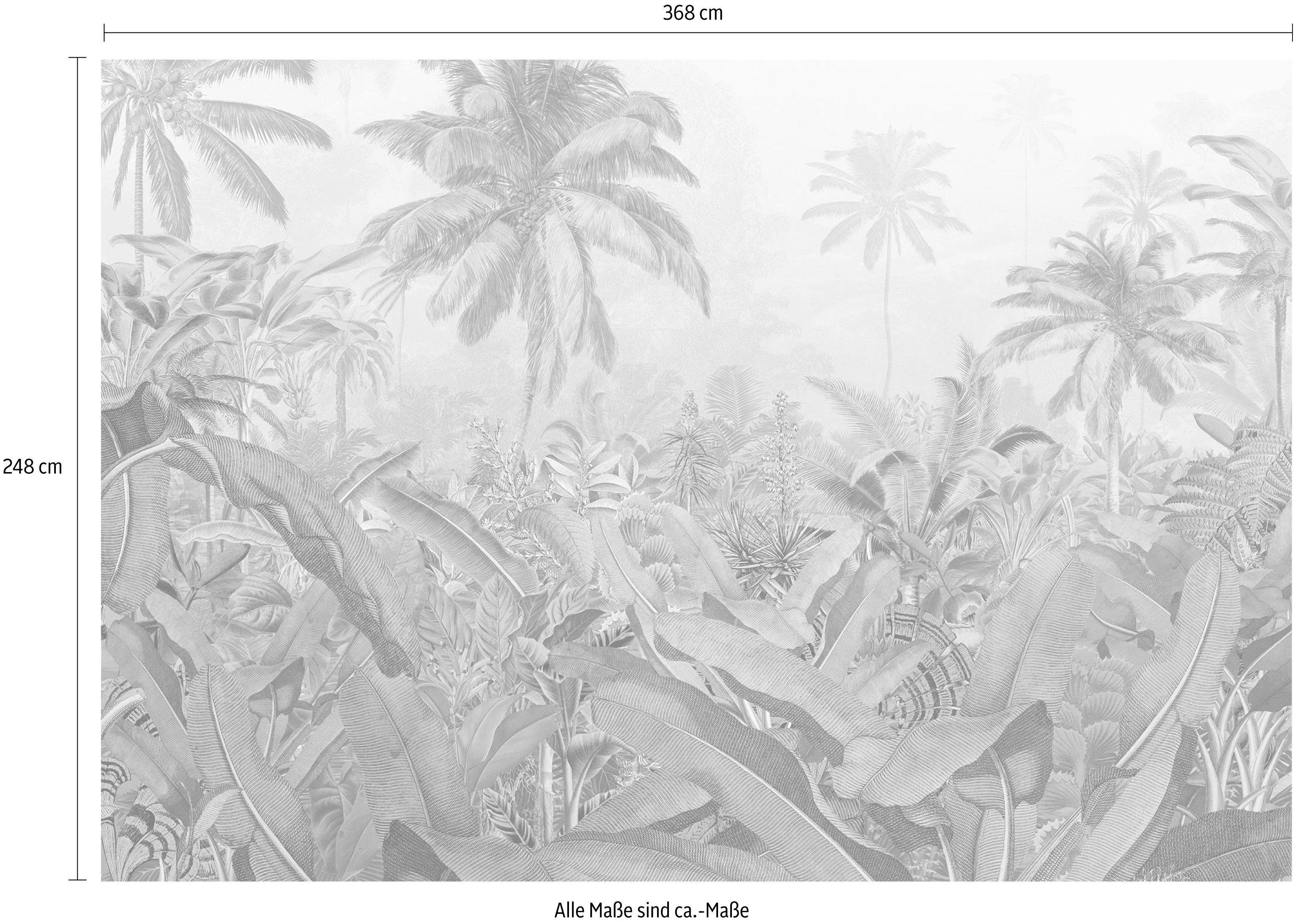 Komar Vliesbehang Vlies - Amazonia - Afmeting 368 x 248 cm