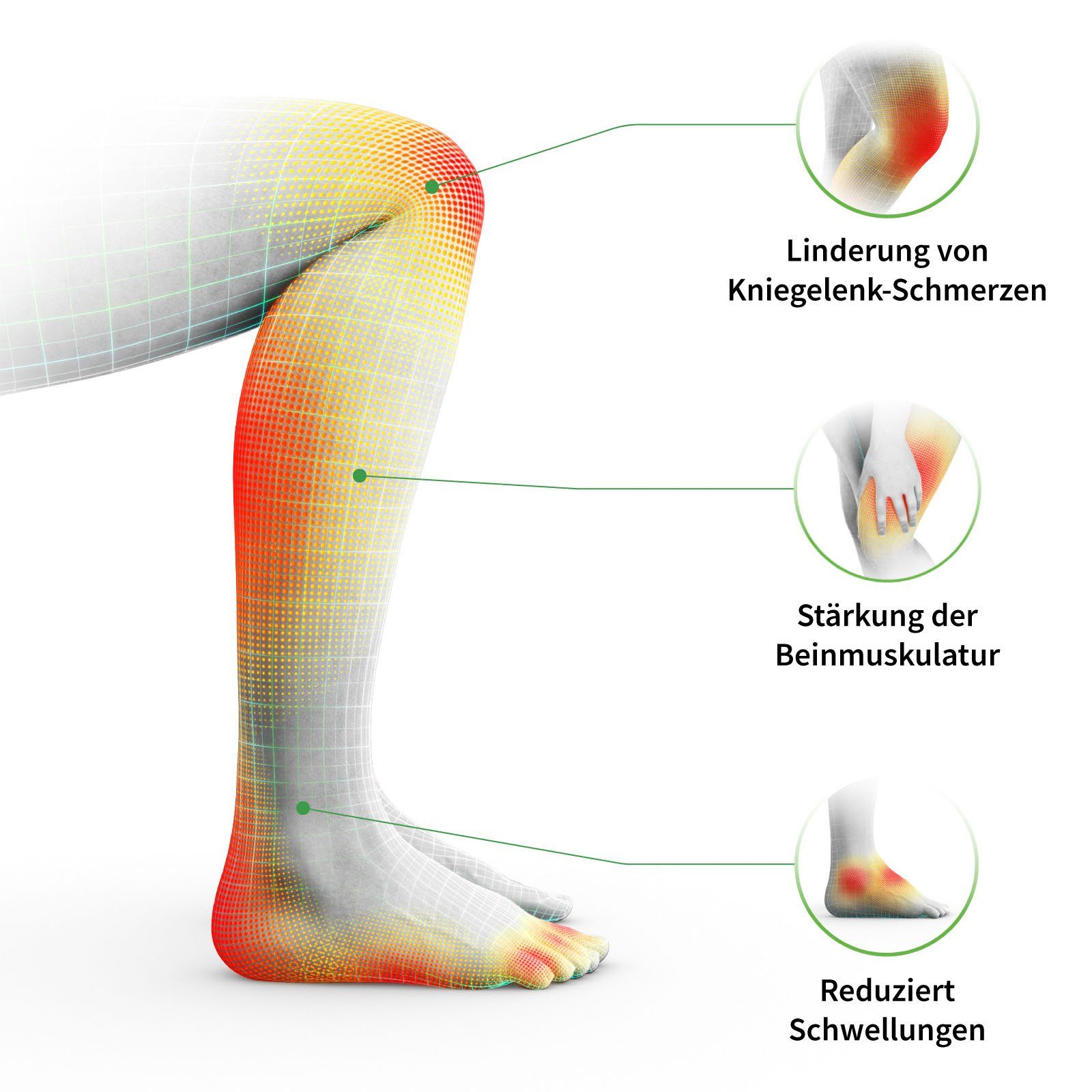 REVITIVE EMS-voetmassageapparaat Medic Plus Knie bloedsomloop-stimulator Verlicht ongemak, slechte bloedsomloop, zwellingen, krampen