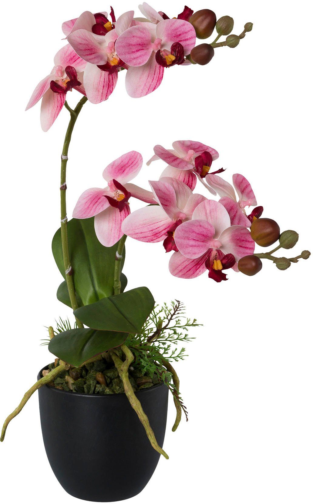 Creativ green Kunstorchidee Vlinderorchidee in een plastic pot (1 stuk)