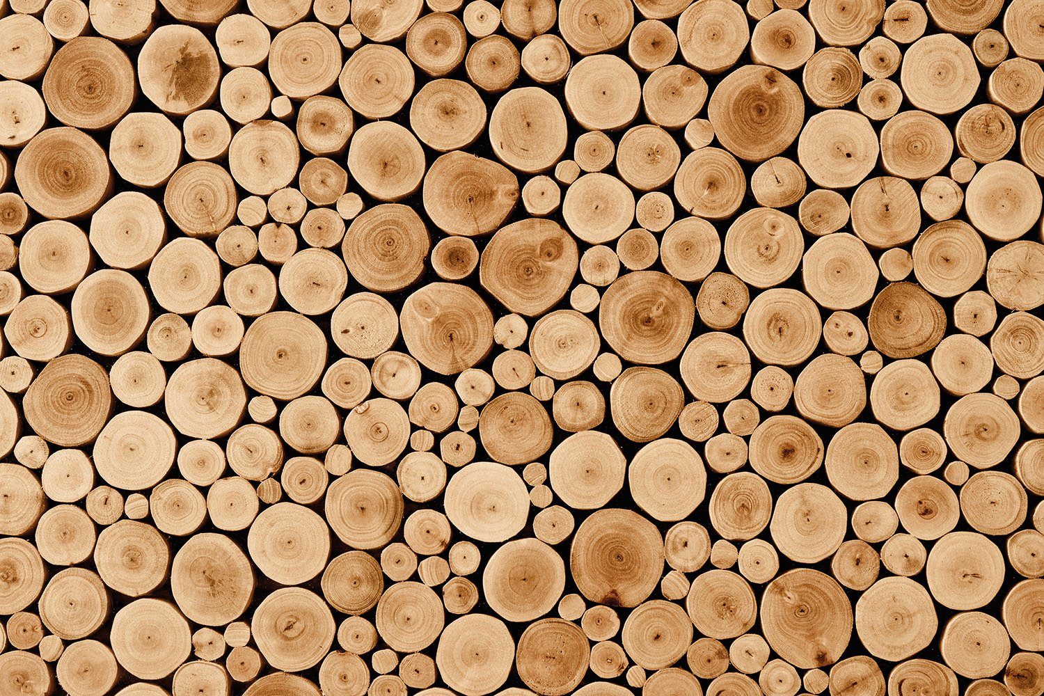 Papermoon Fotobehang Round teak Wood