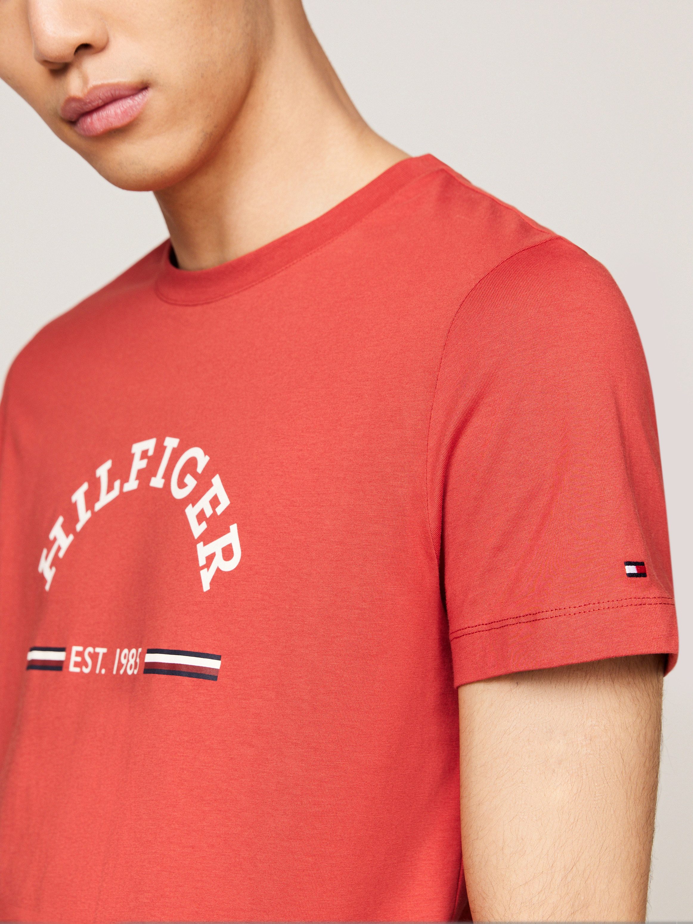 Tommy Hilfiger T-shirt RWB ARCH GS TEE