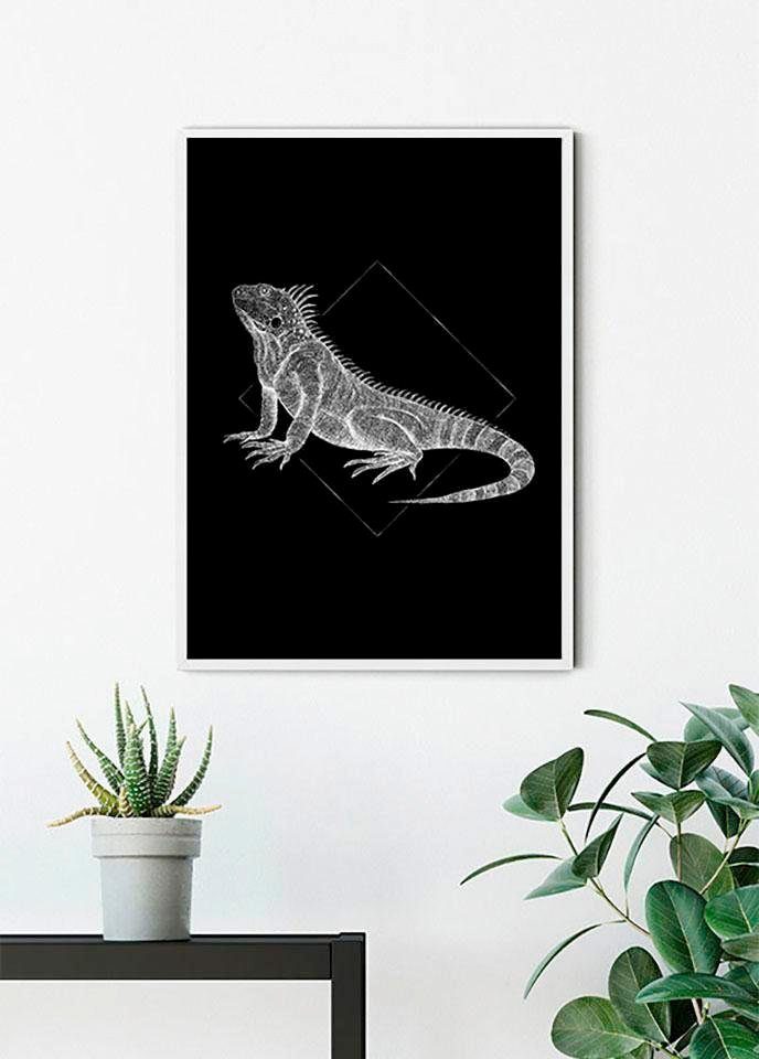Komar Wanddecoratie Iguana black Wanddecoratie - zonder lijst (1 stuk)