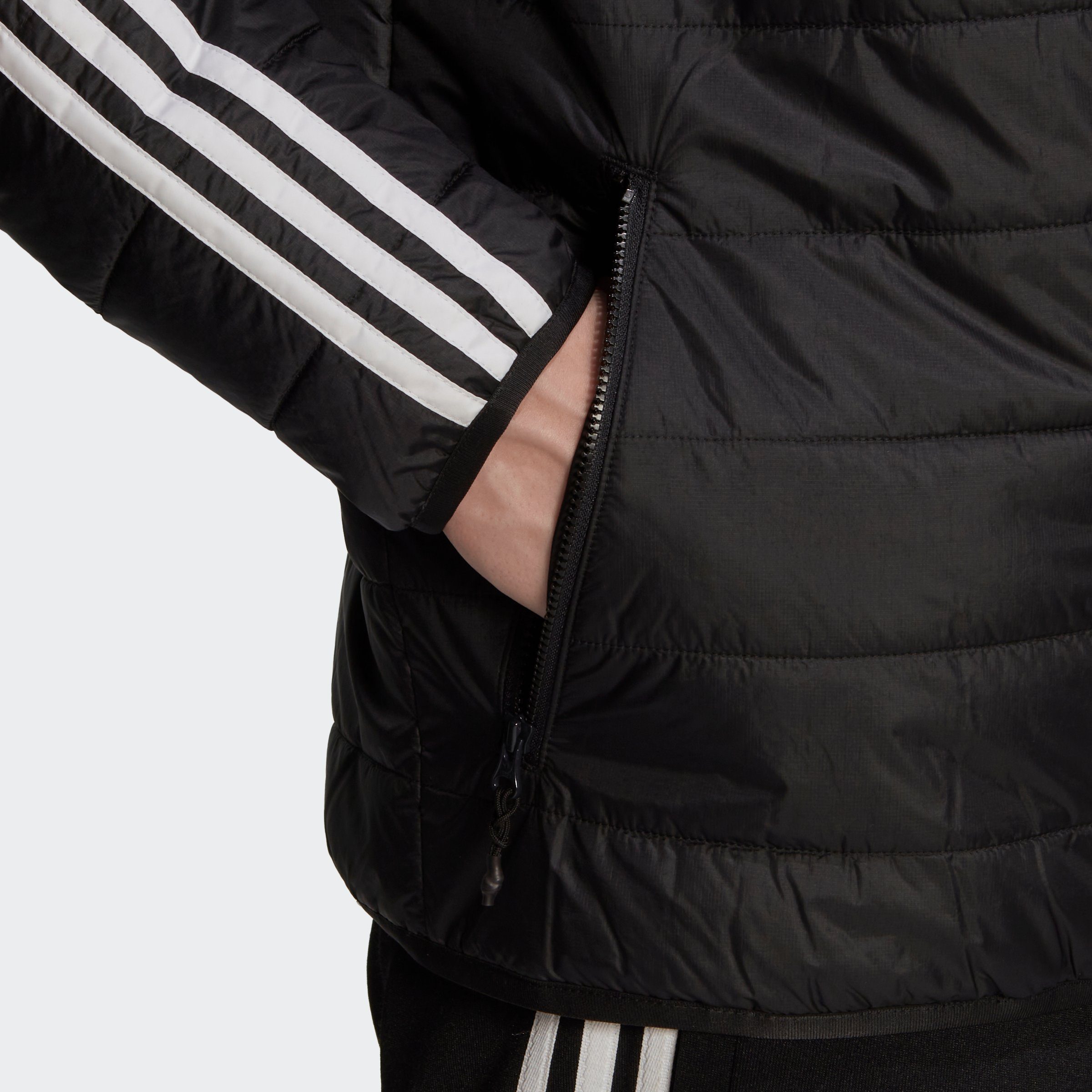 adidas Originals Outdoorjack PADDED HOODED PUFFER