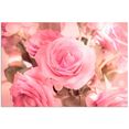 artland artprint boeket roze rozen in vele afmetingen  productsoorten - artprint van aluminium - artprint voor buiten, artprint op linnen, poster, muursticker - wandfolie ook geschikt voor de badkamer (1 stuk) roze