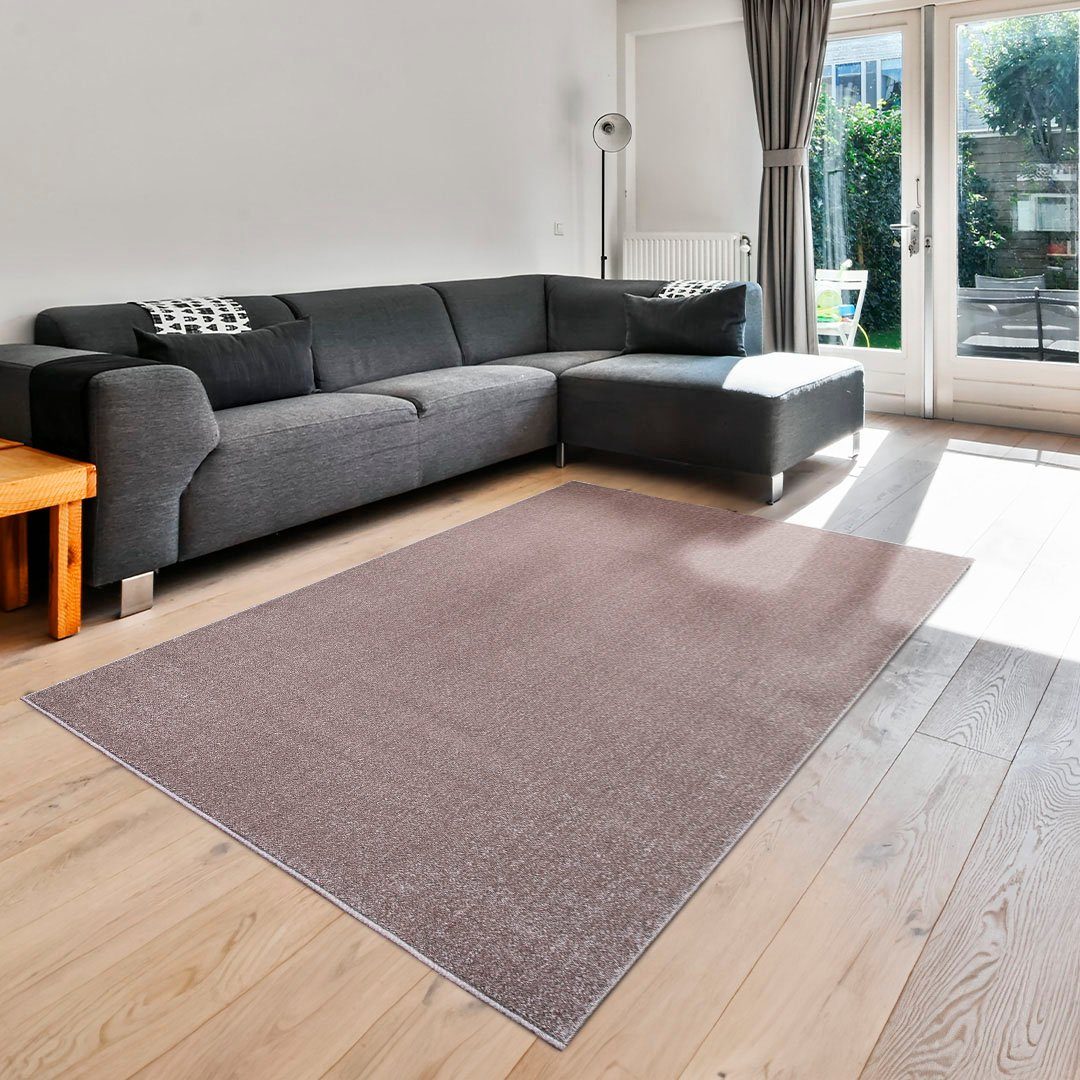 my home Vloerkleed Pieter met bijzonder zachte pool, kortpolig, design-tapijt, melange-effect