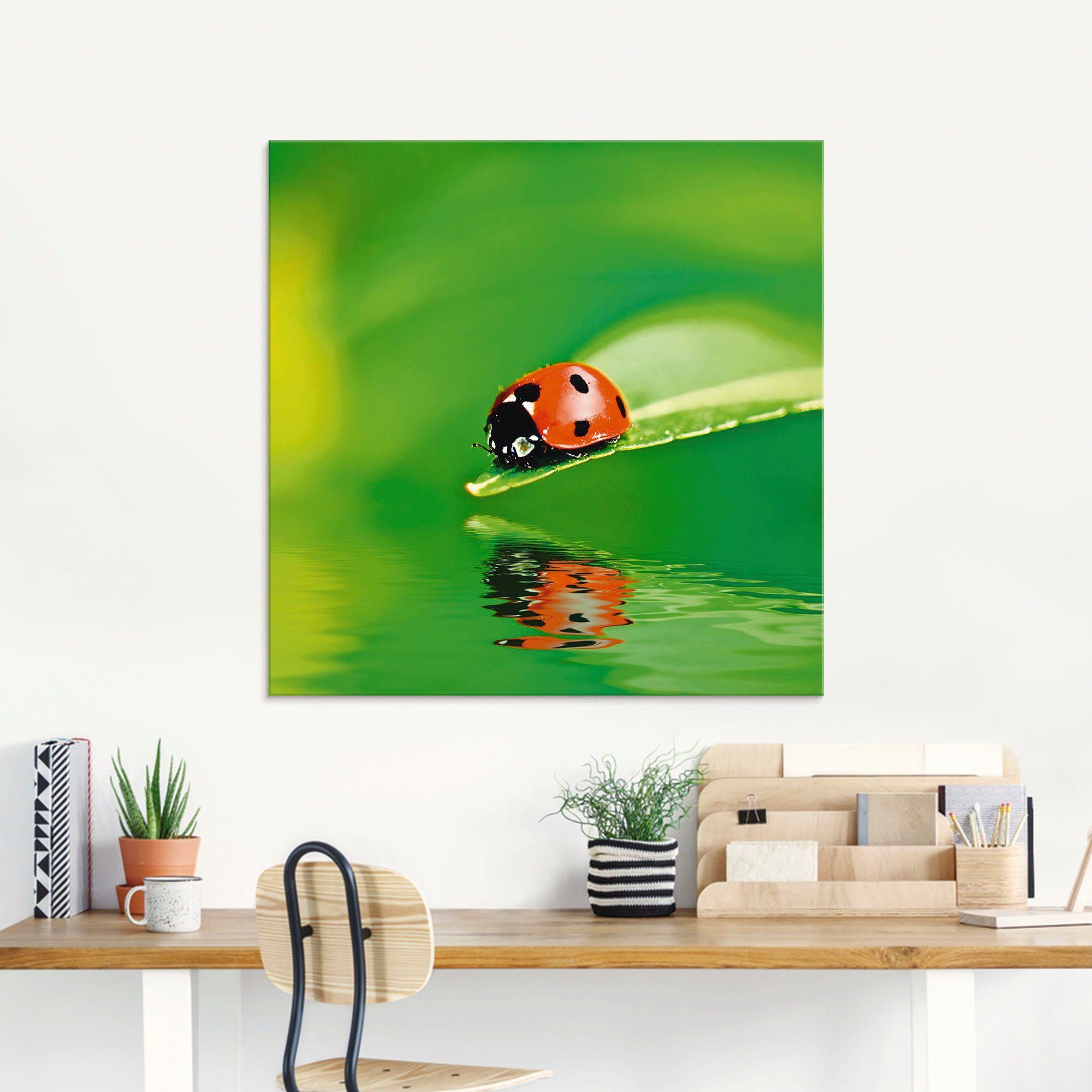 Artland Print op glas Lieveheersbeestje op een blad