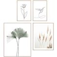 reinders! artprint set artprints lijnentekening natuur ginkgo - kolibrie - plant - bloem - kunst (4 stuks) zwart