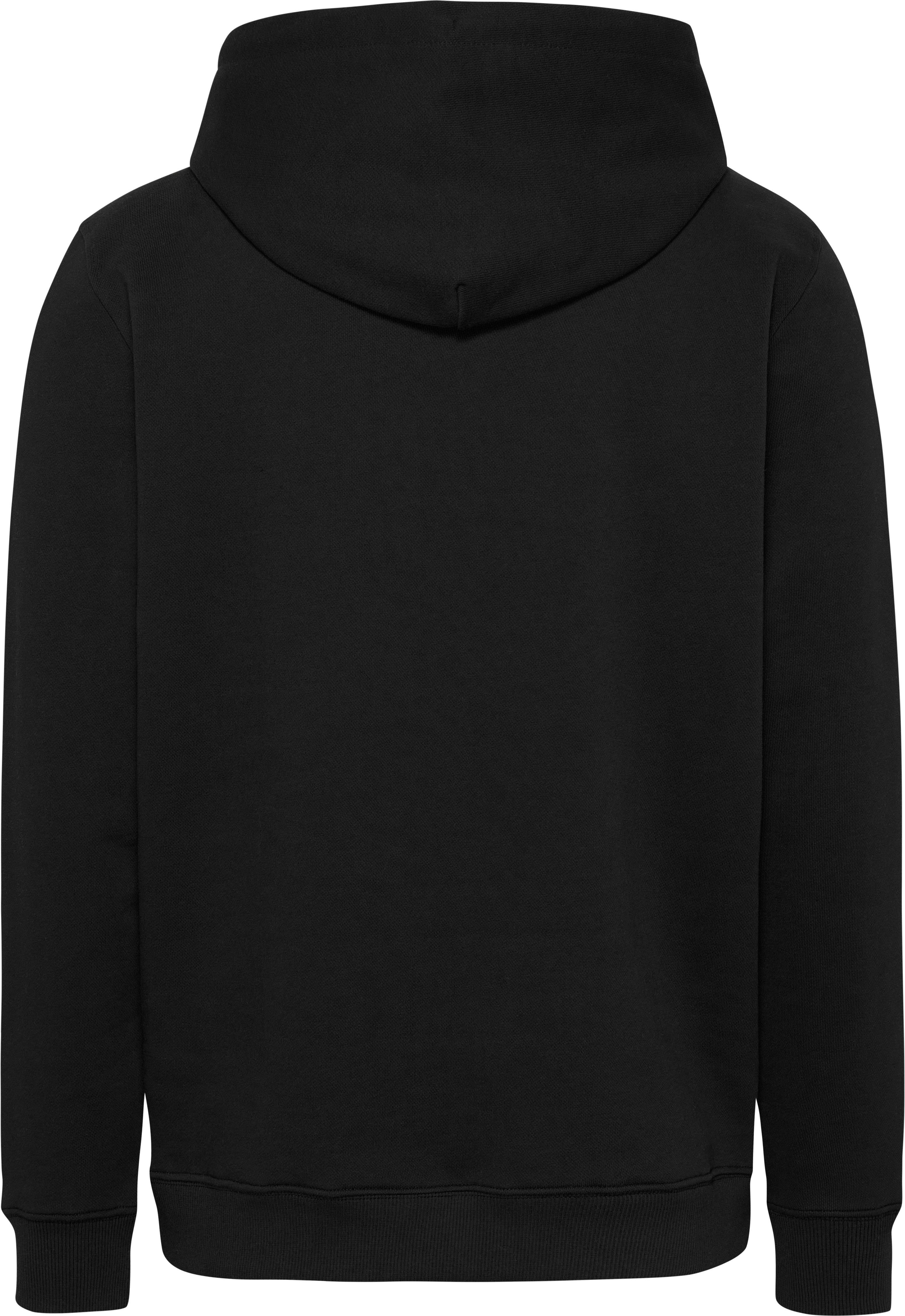 TOMMY JEANS Hoodie TJM REG DNA FLAG TWIST HOOD EXT