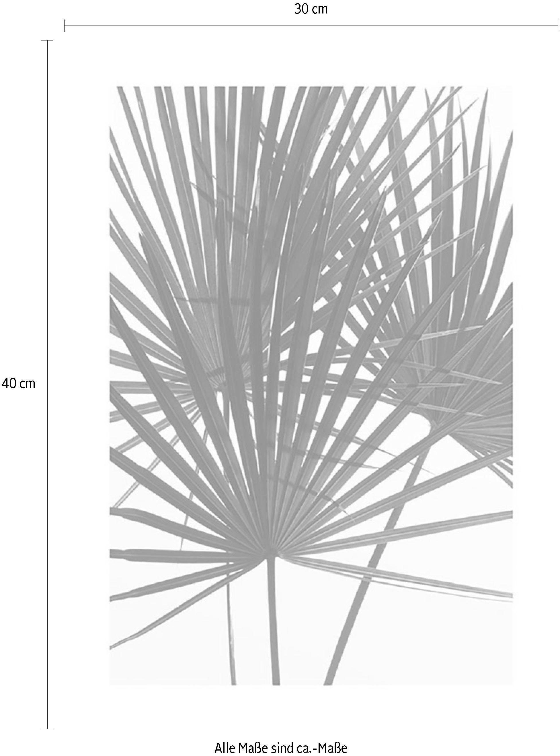 Komar Wanddecoratie Palmtree Leaves Wanddecoratie - zonder lijst (1 stuk)