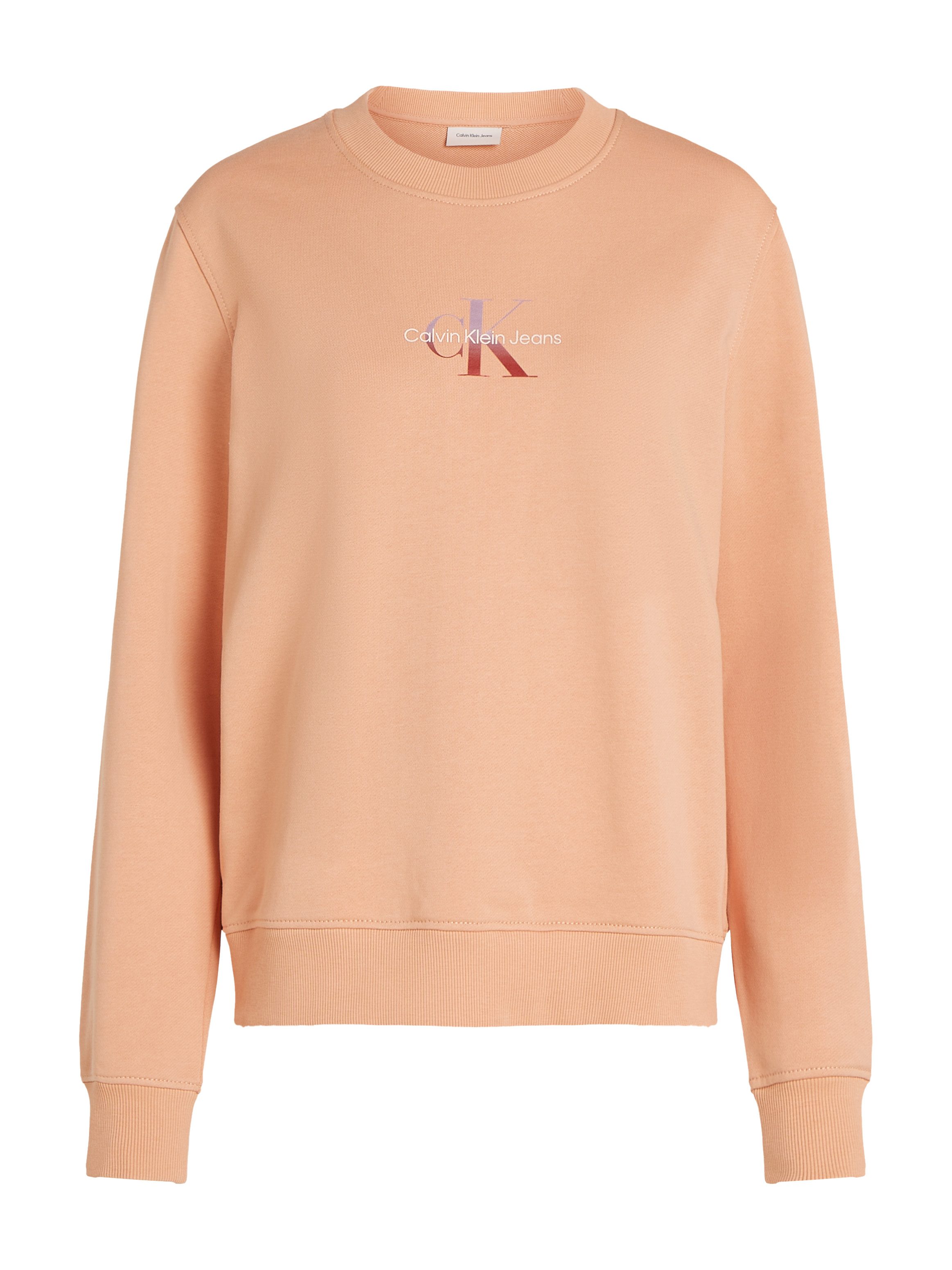 Calvin Klein Sweatshirt GRADIENT MONOLOGO CREWNECK