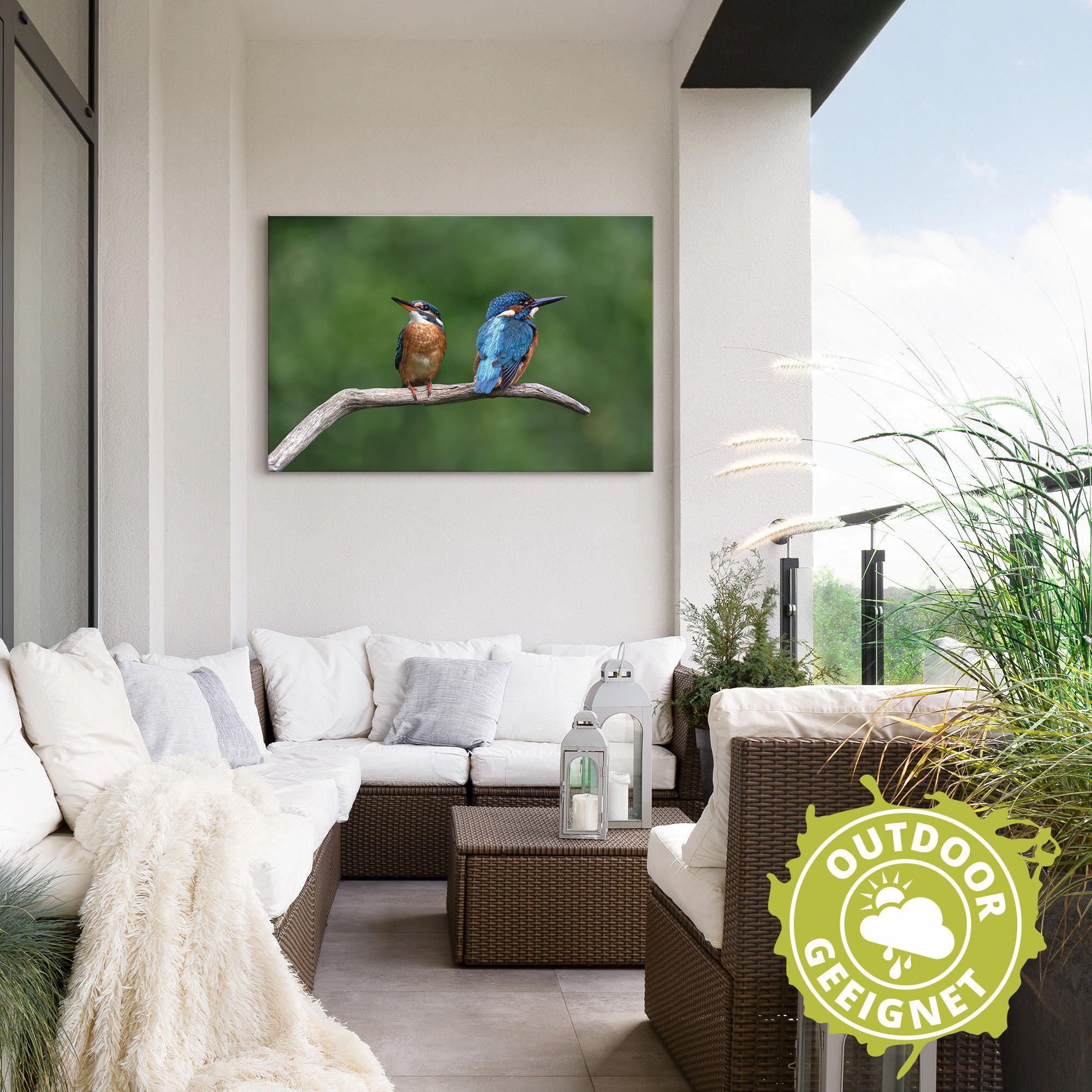 Artland Artprint Twee ijsvogels als artprint van aluminium, artprint voor buiten, poster in diverse formaten