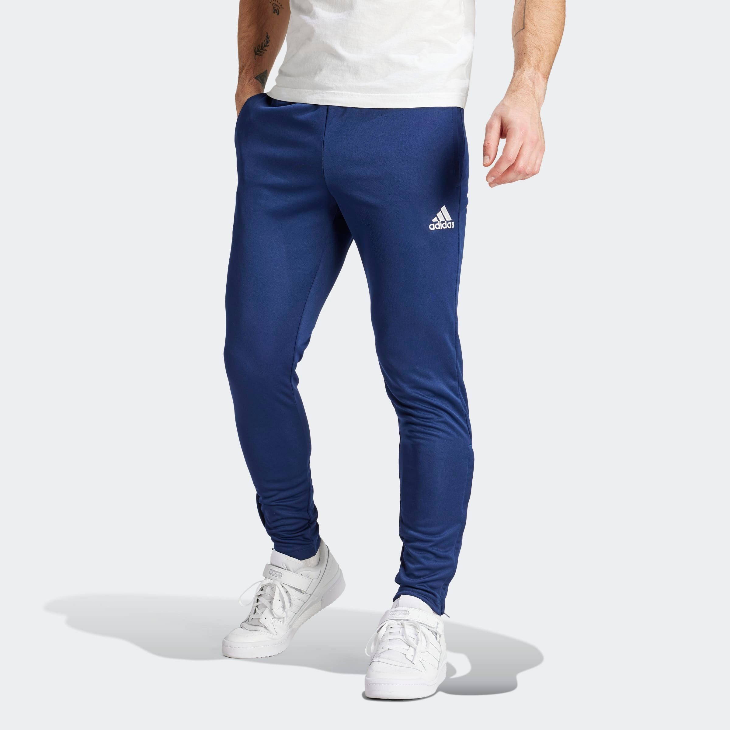 adidas Performance Trainingsbroek ENT22 TR PNT (1-delig)