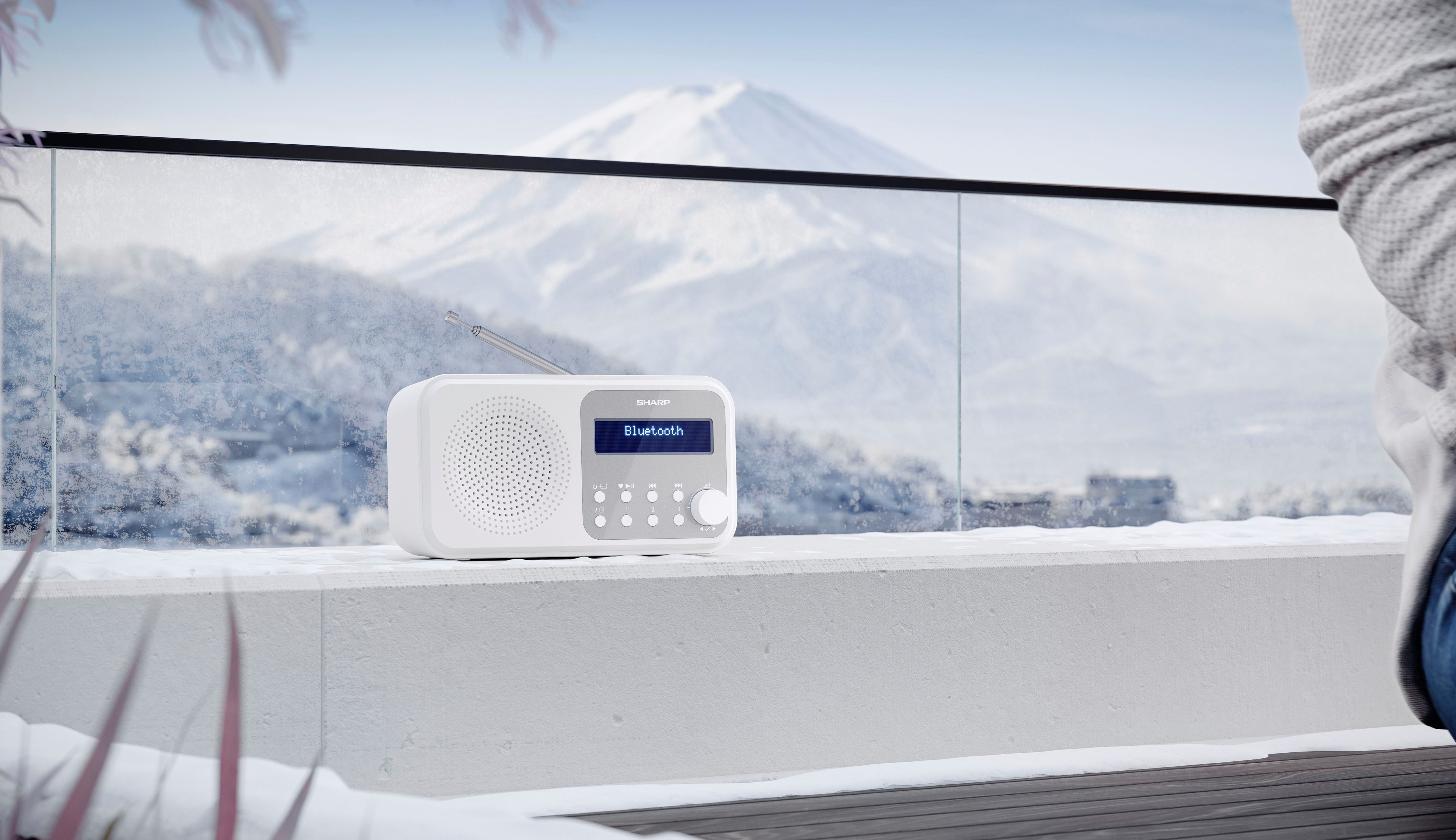 Sharp Radio DR-P420