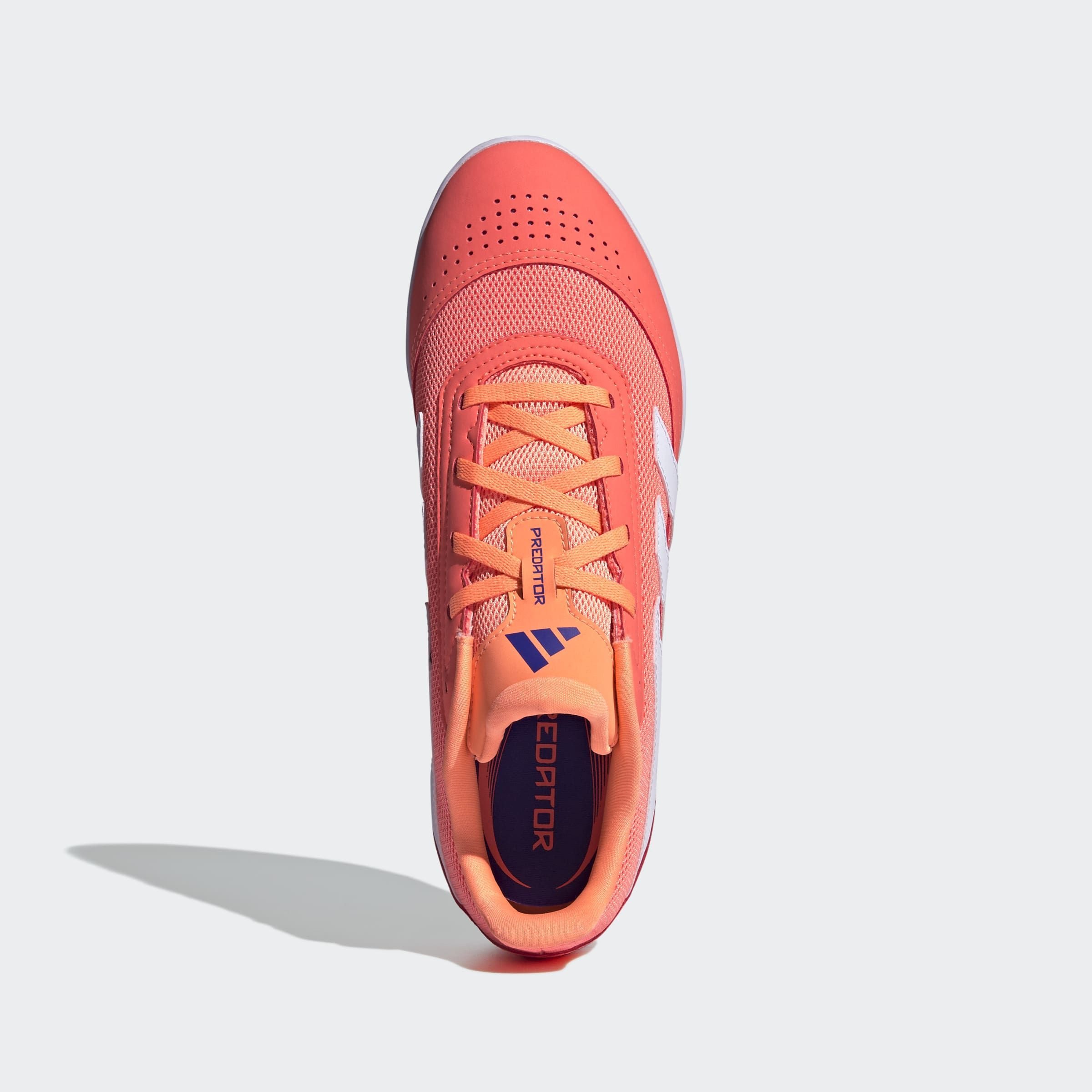 adidas Performance Voetbalschoenen PREDATOR CLUB INDOOR SALA E