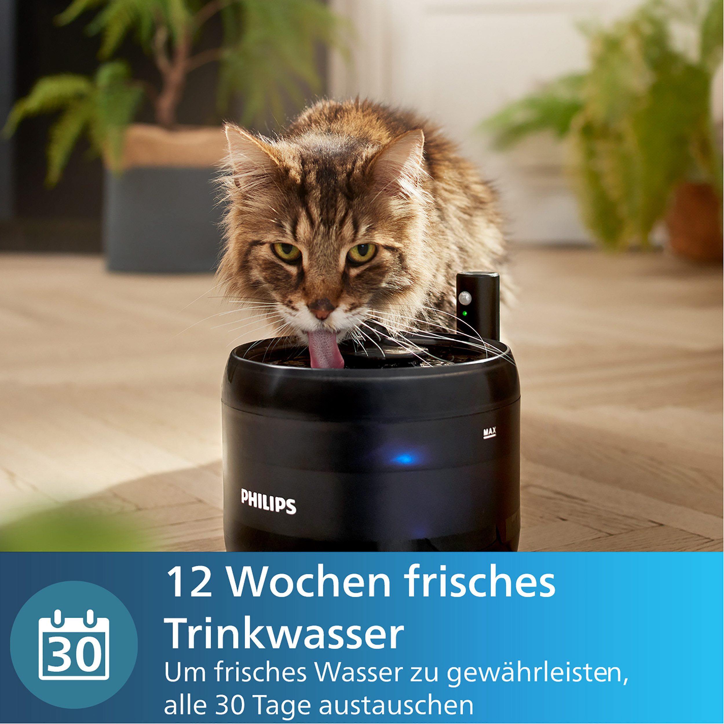 Philips Waterfilter PAW0010/01 voor waterdrinkbakken Philips Pet Series 3000 (set, 3-delig)