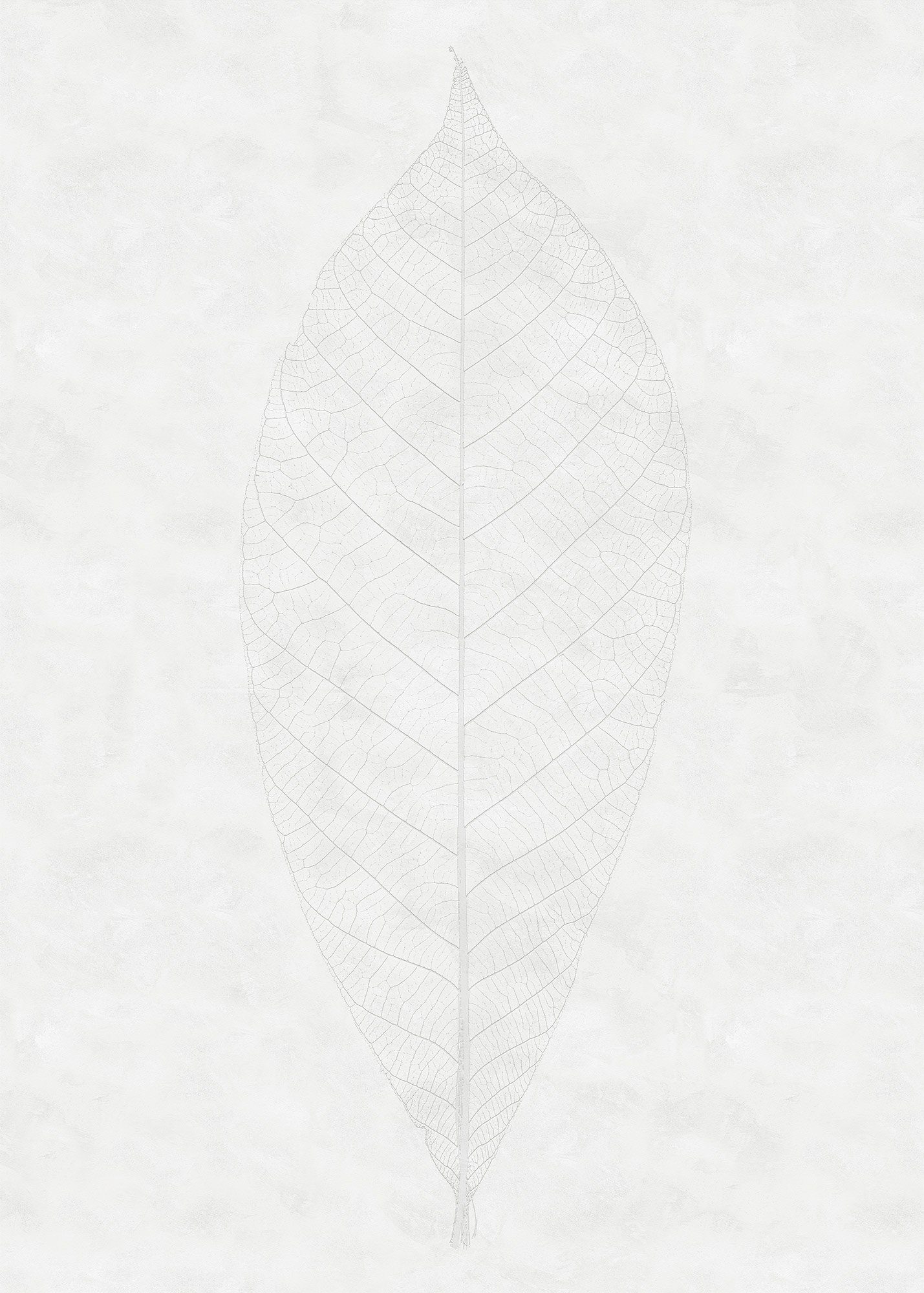 Komar fotobehang Decent Leaf