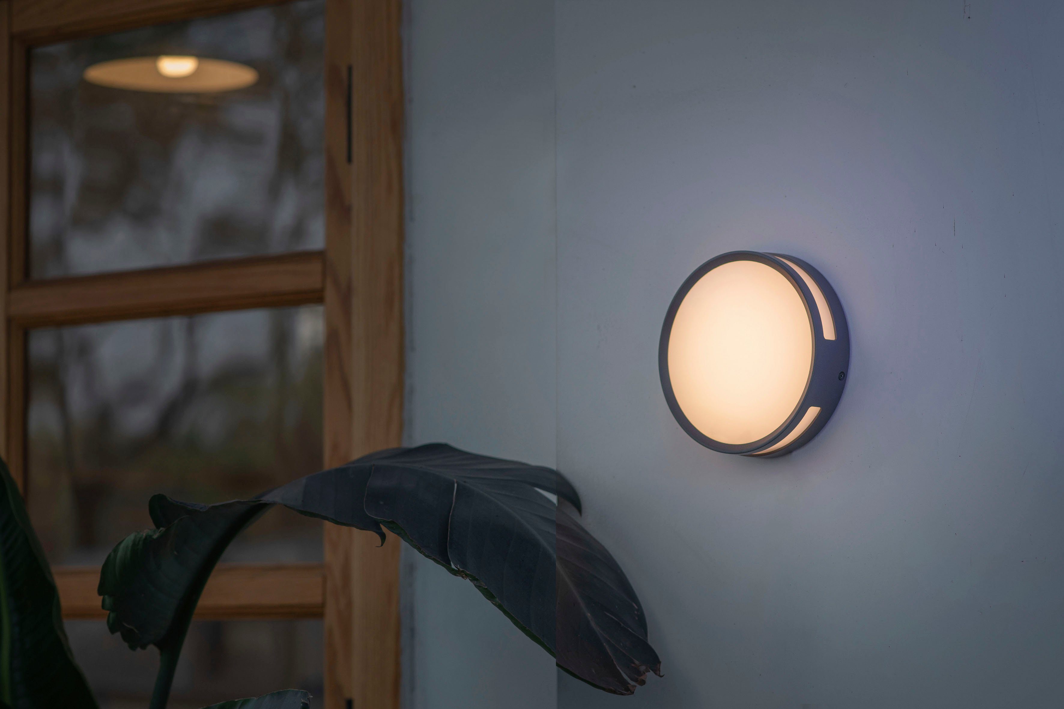 LUTEC Ledwandlamp voor buiten ROLA (1 stuk)
