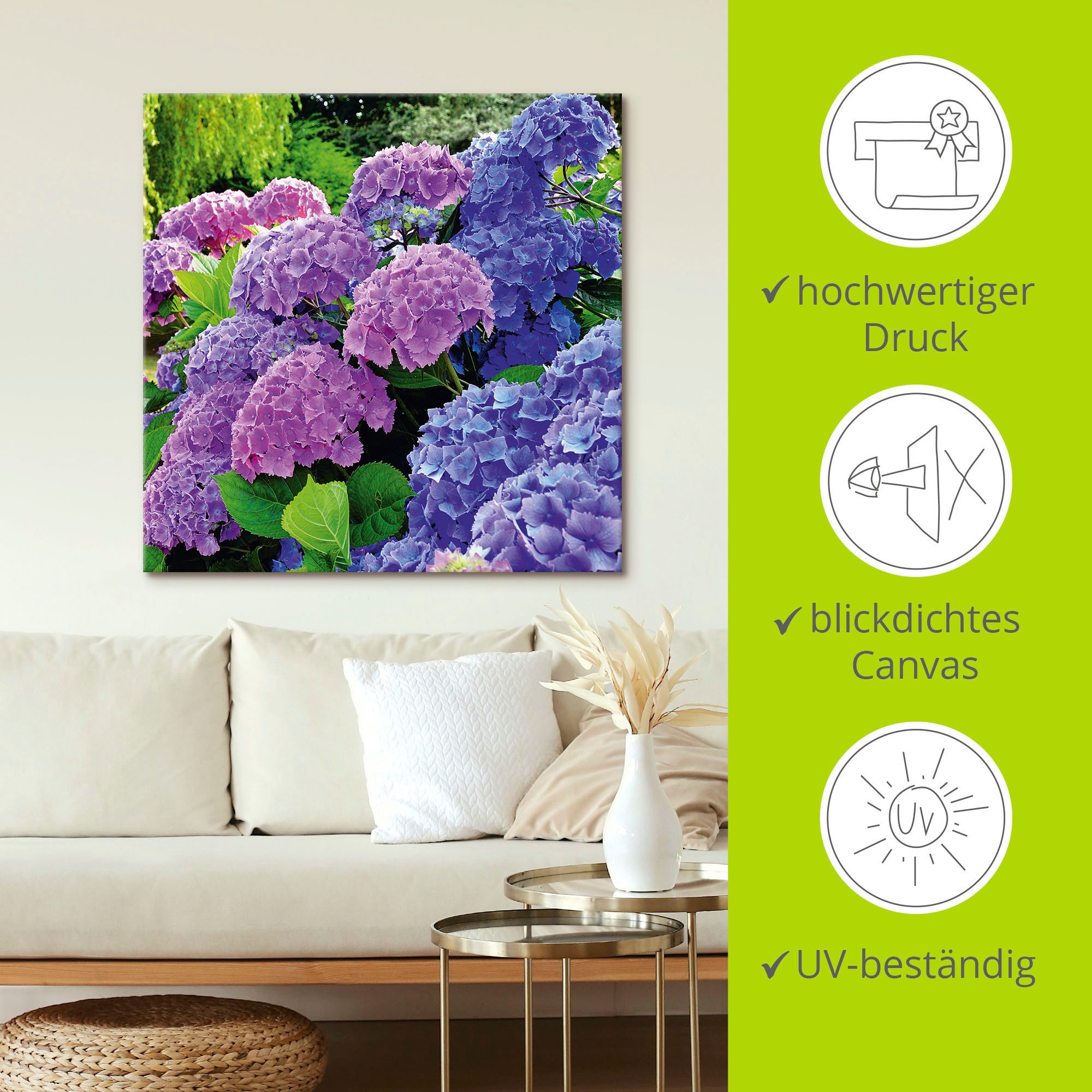 Artland Artprint Hortensia's in de tuin als artprint van aluminium, artprint voor buiten, artprint op linnen, poster, muursticker