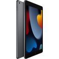 apple tablet ipad 10.2" wifi (2021), 10,2 ", ipados grijs