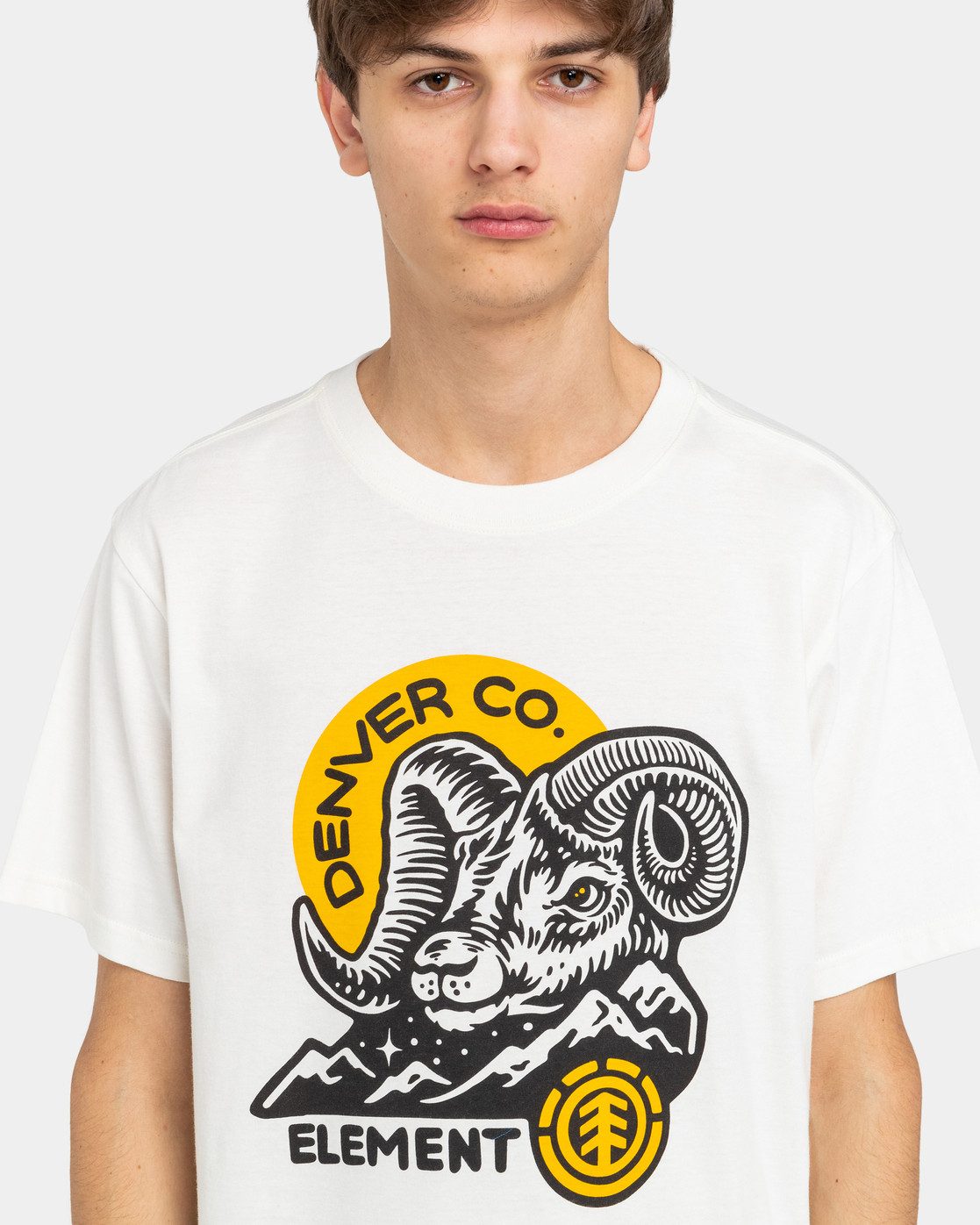 Element T-shirt RAM