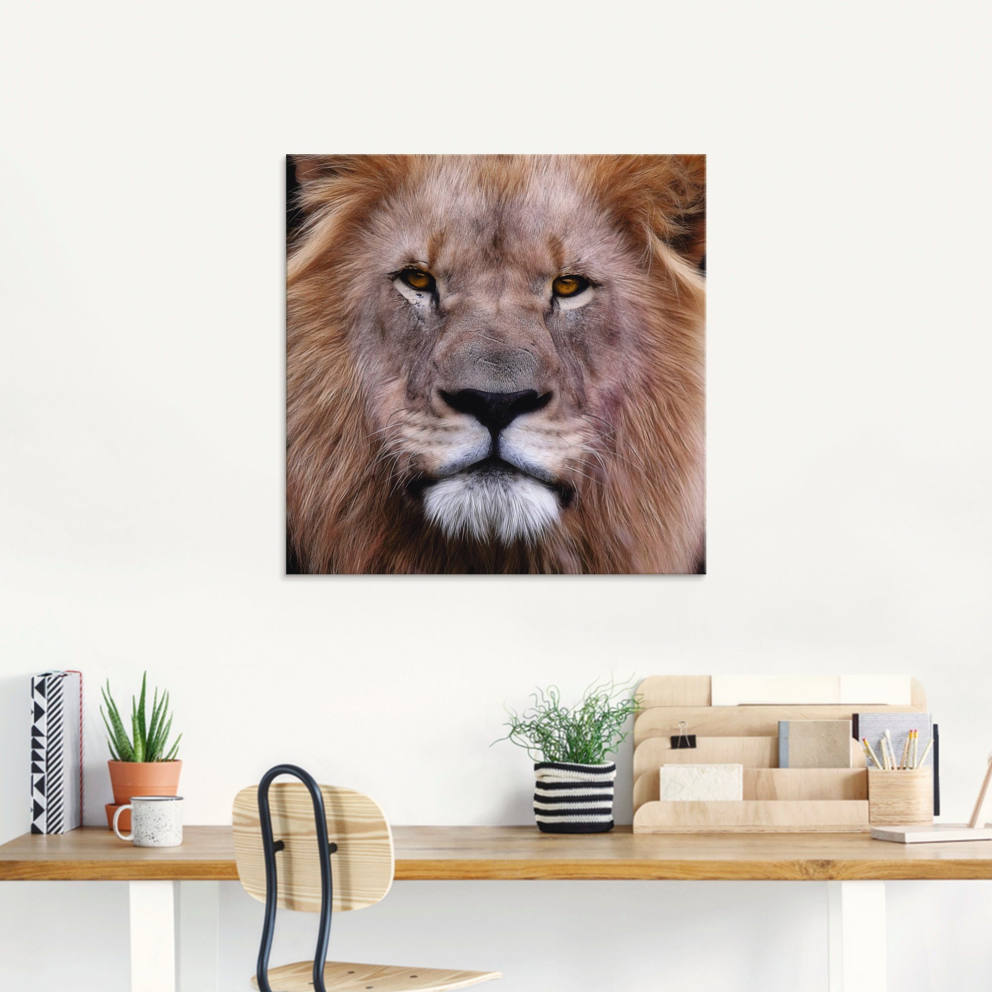 Artland Print op glas Koning van de leeuwen in verschillende maten
