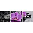 conni oberkircher´s beeld met klok violet flower - paarse orchidee met decoratieve klok, bloemen, ontspanning, wellness, stenen (set) multicolor