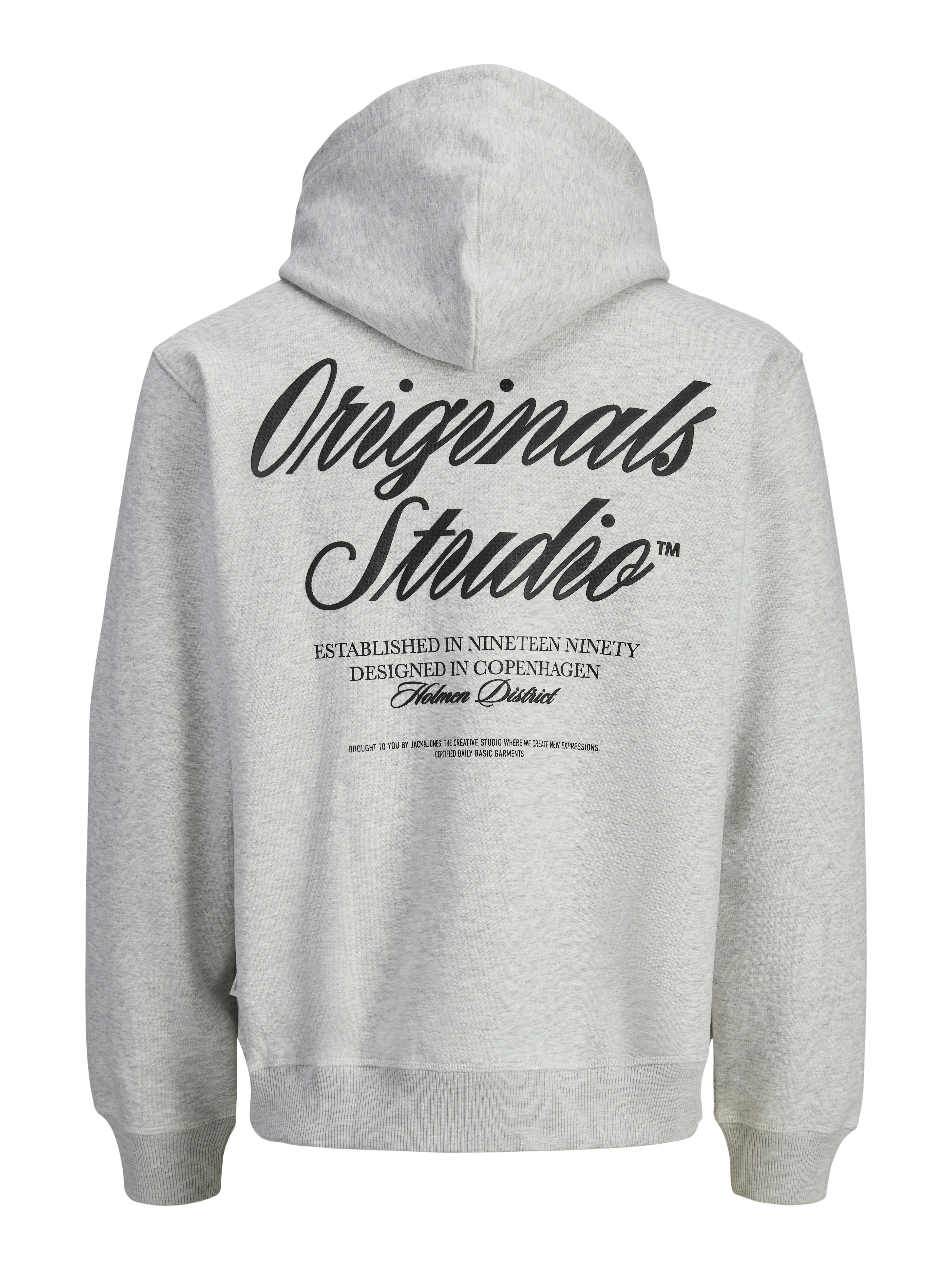 Jack & Jones Hoodie JORNORREBRO TYPO BACK SWEAT HOOD SN