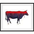 queence wanddecoratie bloody cow (1 stuk) rood