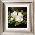 queence artprint op acrylglas bloemen wit