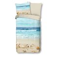 traumschlaf overtrekset strand schelpen vorstelijk vakantiegevoel (2-delig) multicolor