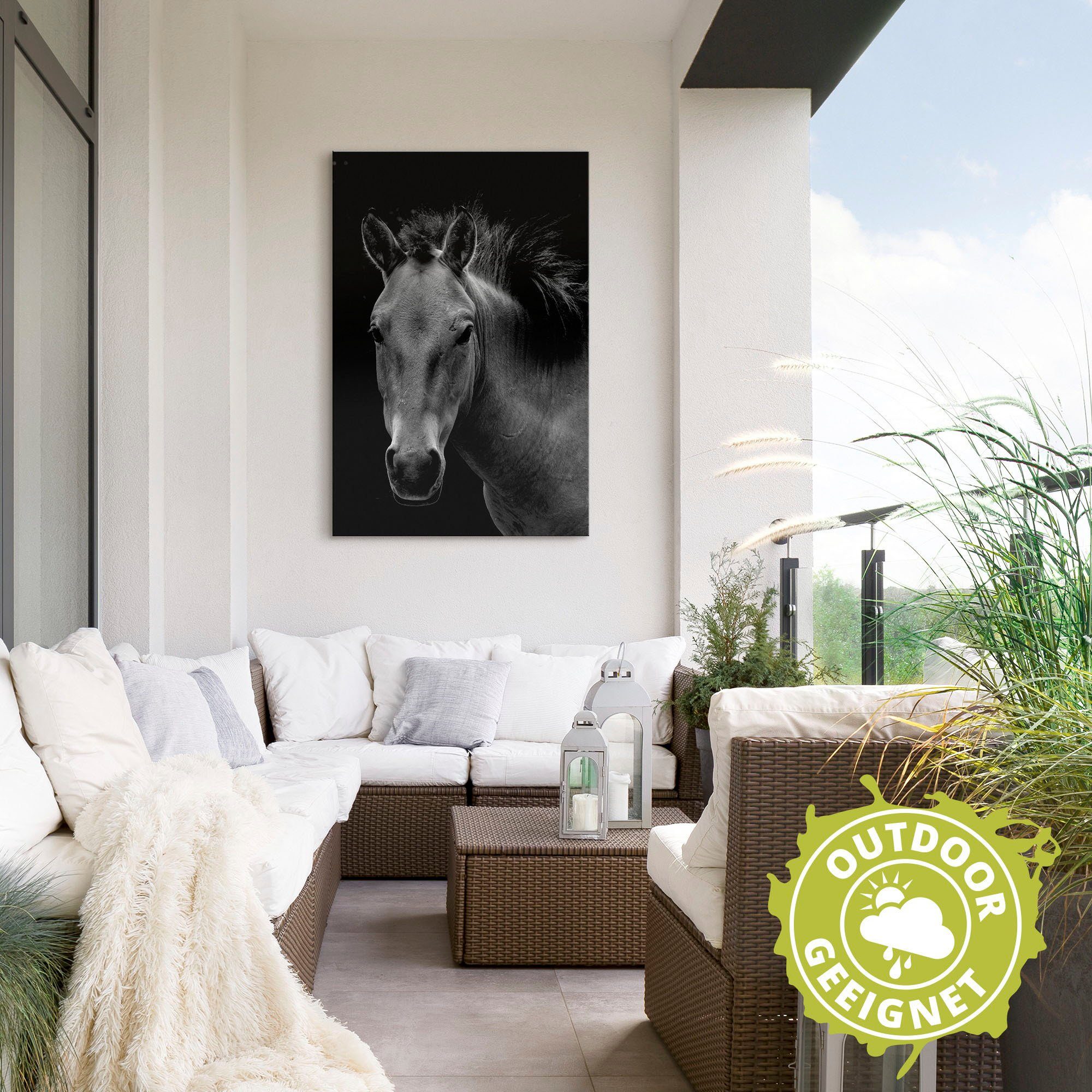 Artland Poster Wild paard als artprint van aluminium, artprint op linnen, muursticker of poster in verschillende maten