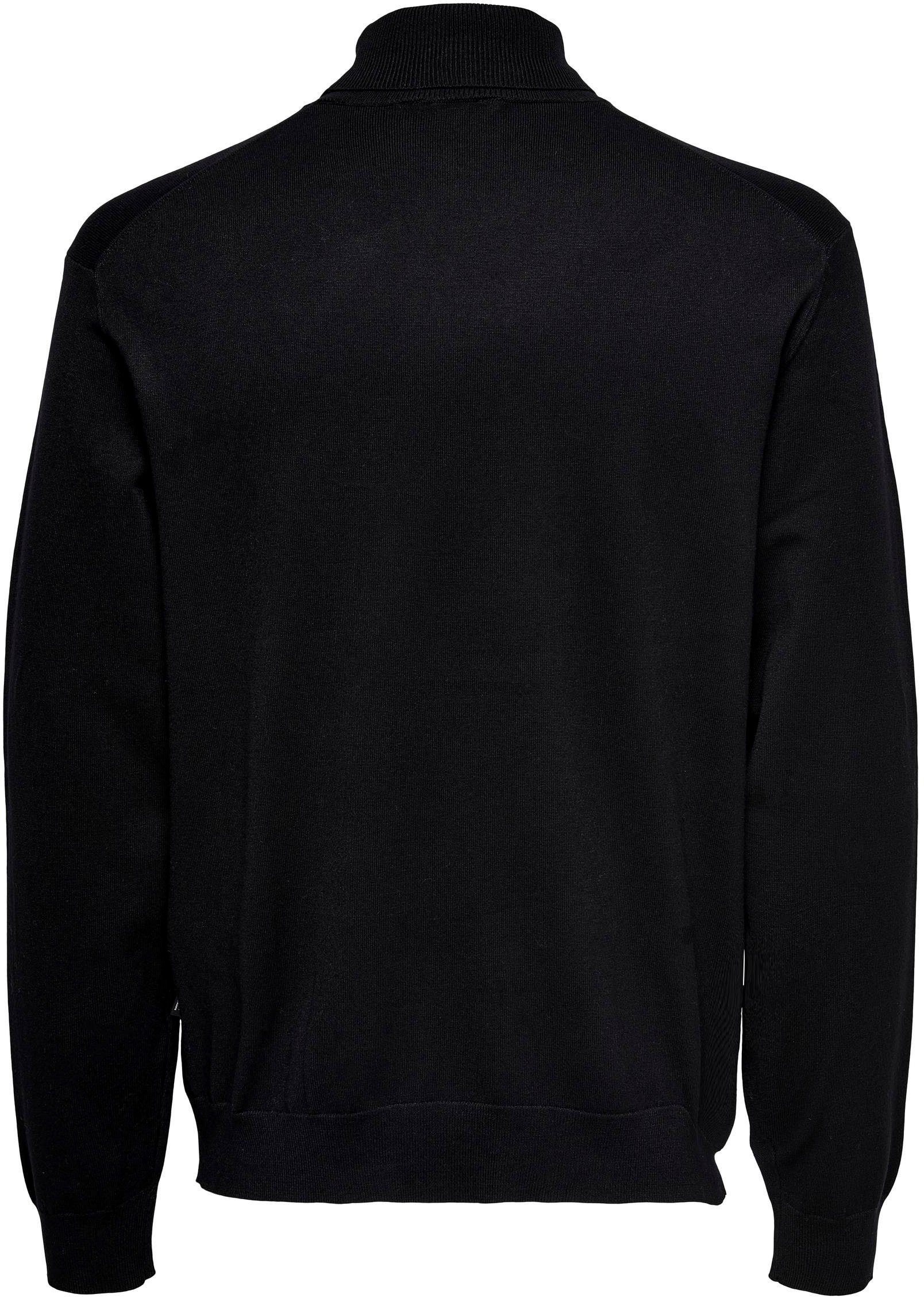 ONLY & SONS Coltrui ONSWYLER LIFE REG ROLL NECK KNIT NOOS