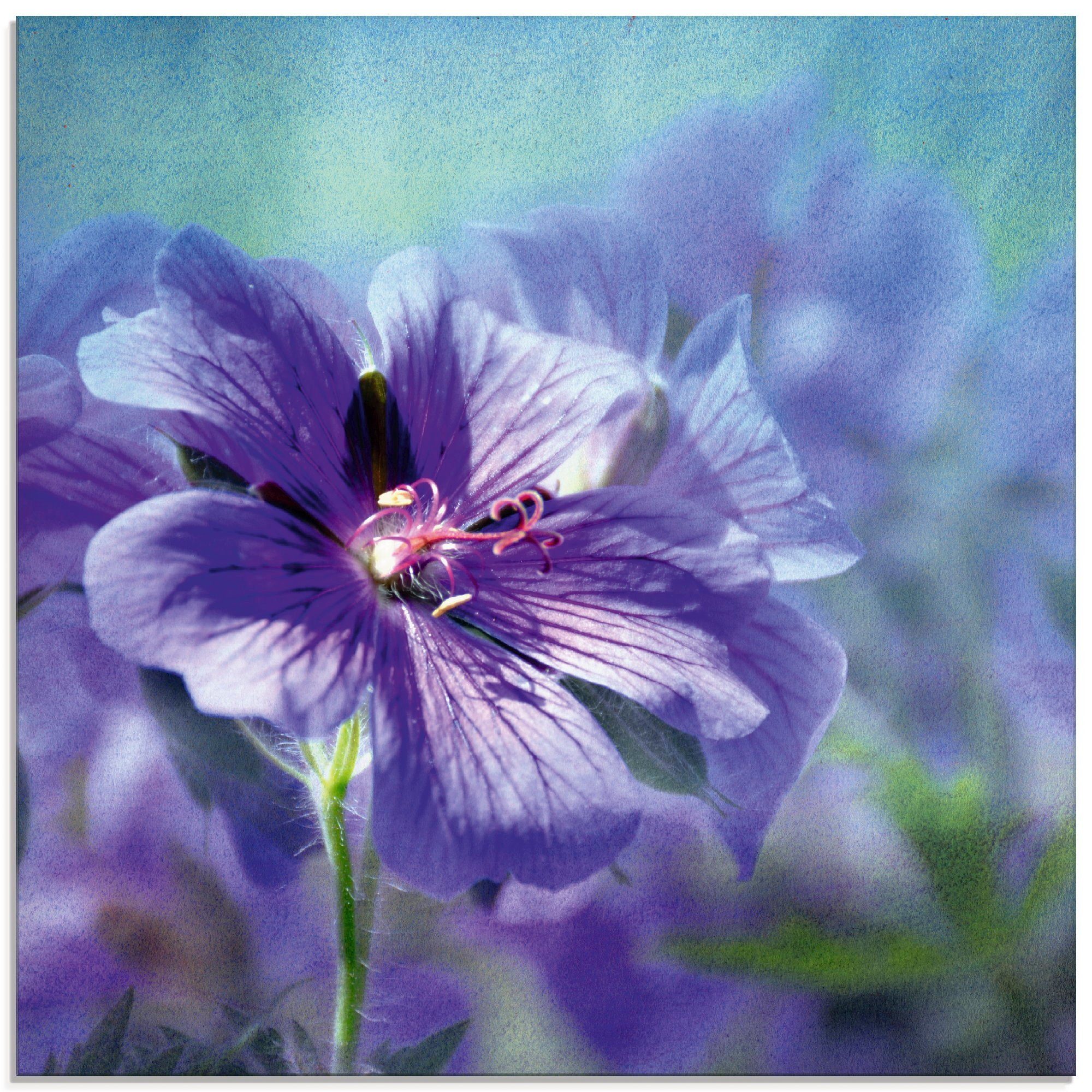 Artland Print op glas Blauwe bloem (1 stuk)