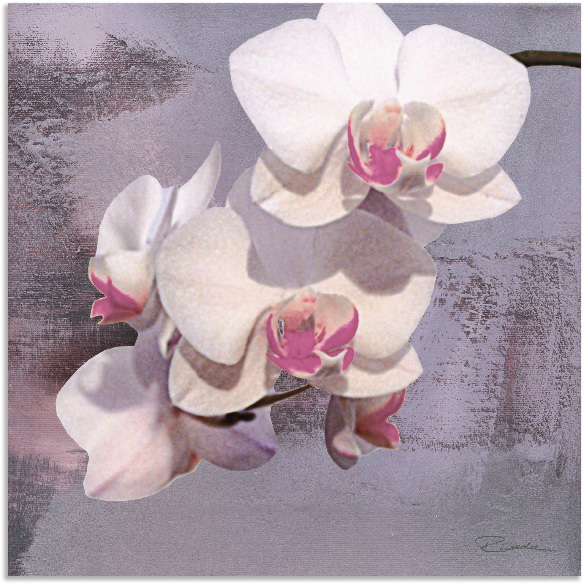 Artland Artprint Orchideeën voor violet II in vele afmetingen & productsoorten - artprint van aluminium / artprint voor buiten, artprint op linnen, poster, muursticker / wandfolie